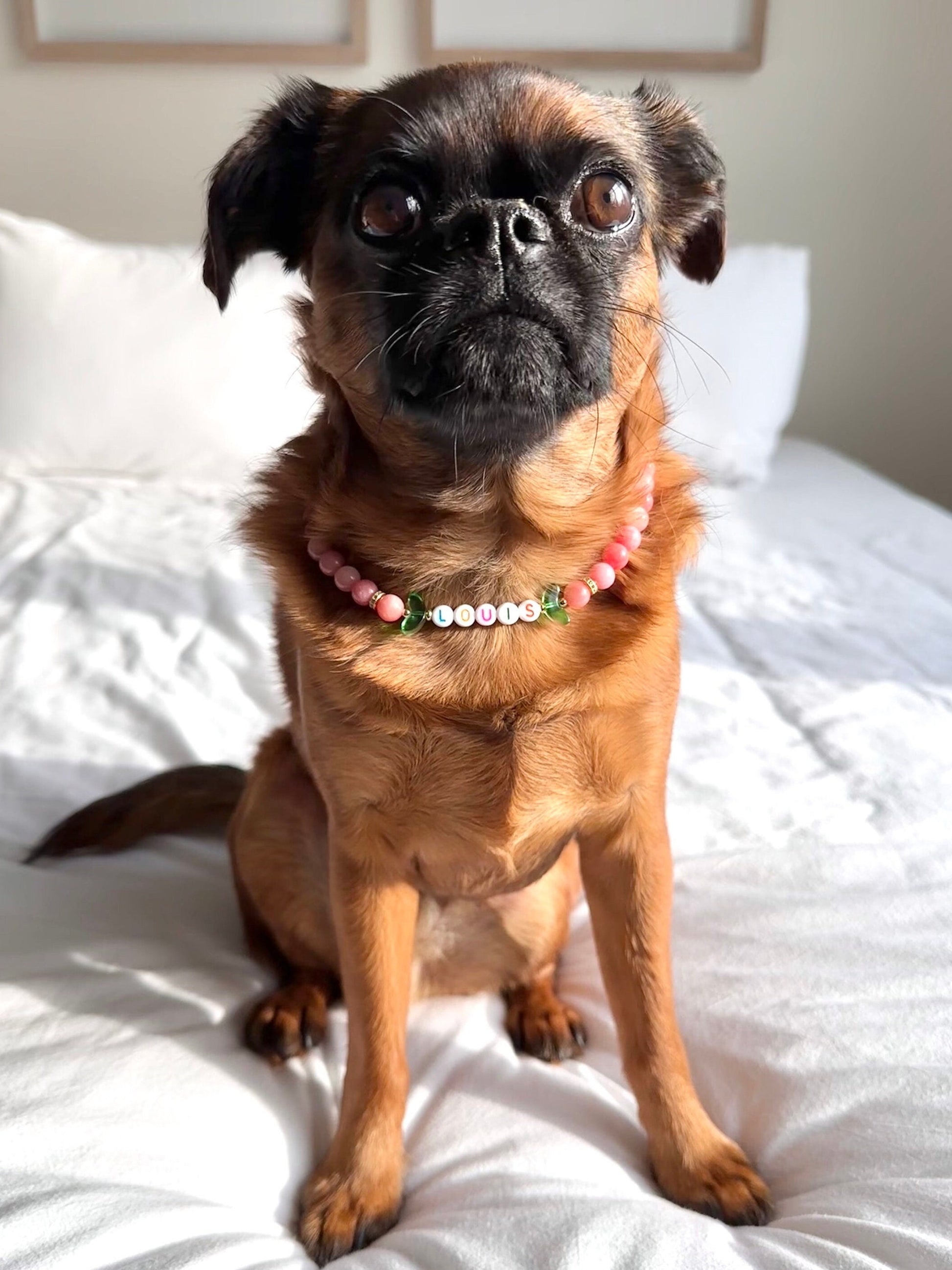 Fuzzy Peach Dog Necklace