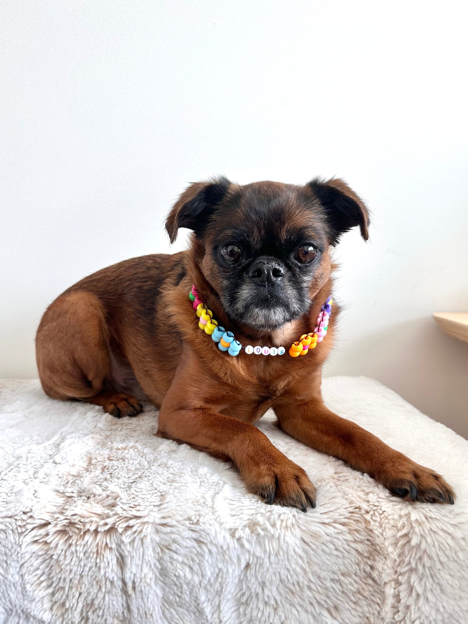 Flower Power Dog Necklace