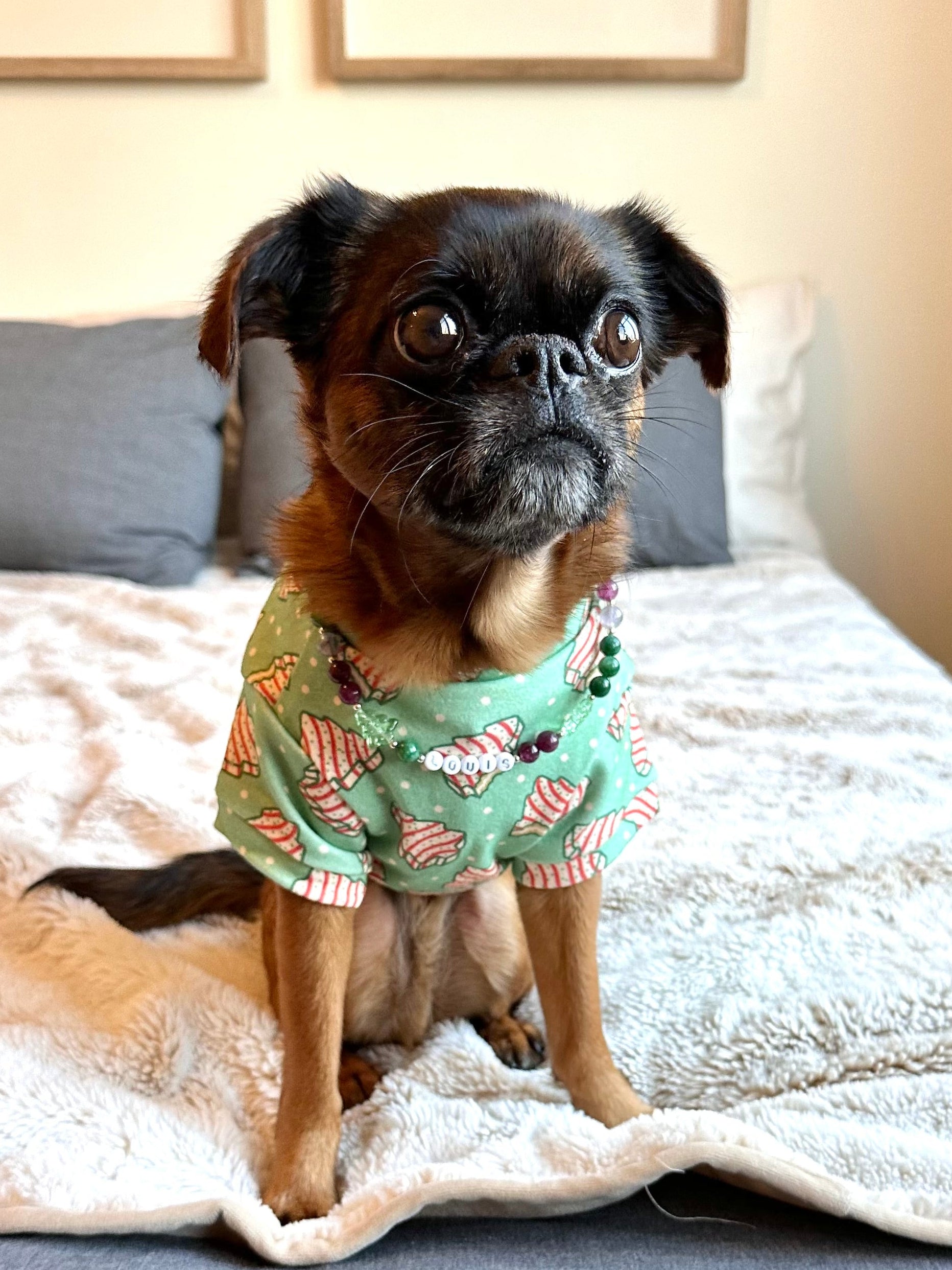 Winter Wish Dog Necklace