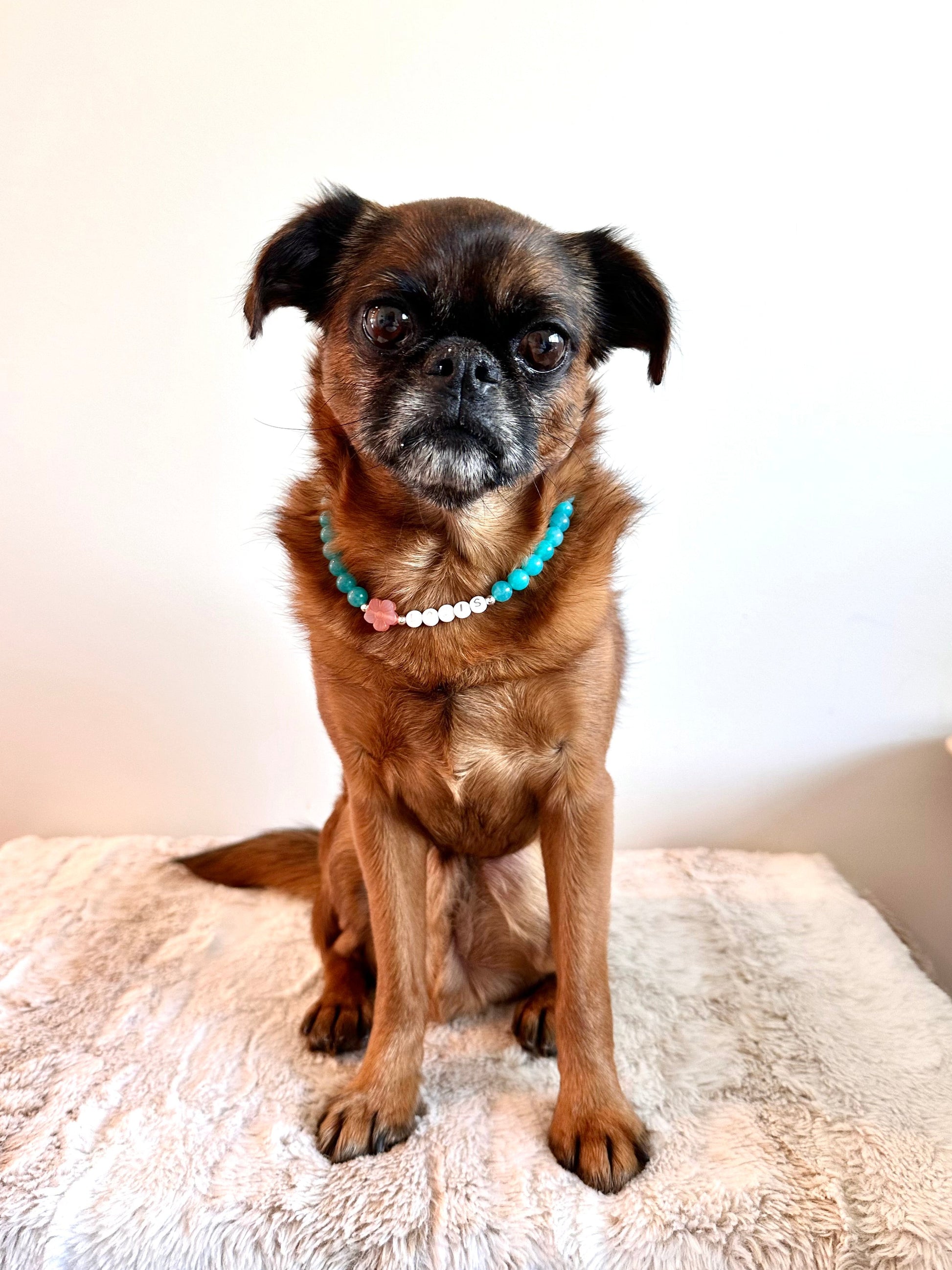Azure Tide Dog Necklace