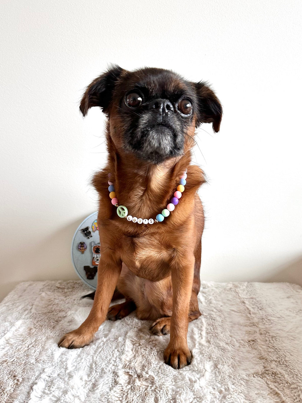 Hippy Paws Dog Necklace