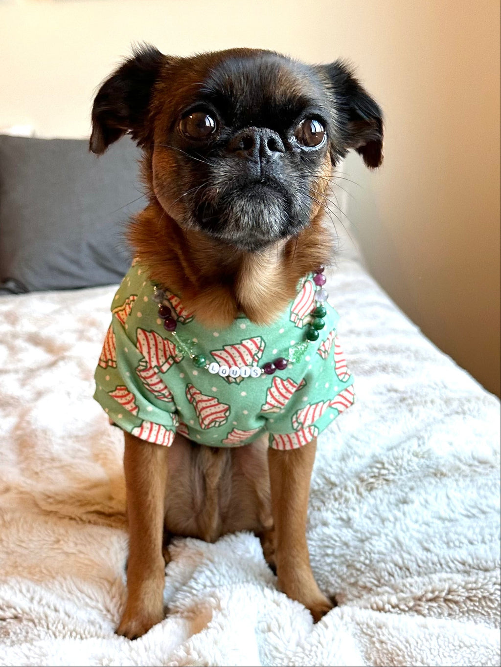 Winter Wish Dog Necklace