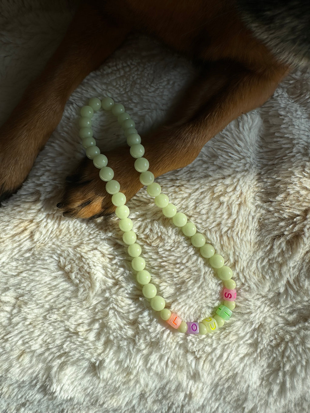 Ghost Glow Dog Necklace (Glow in the Dark)