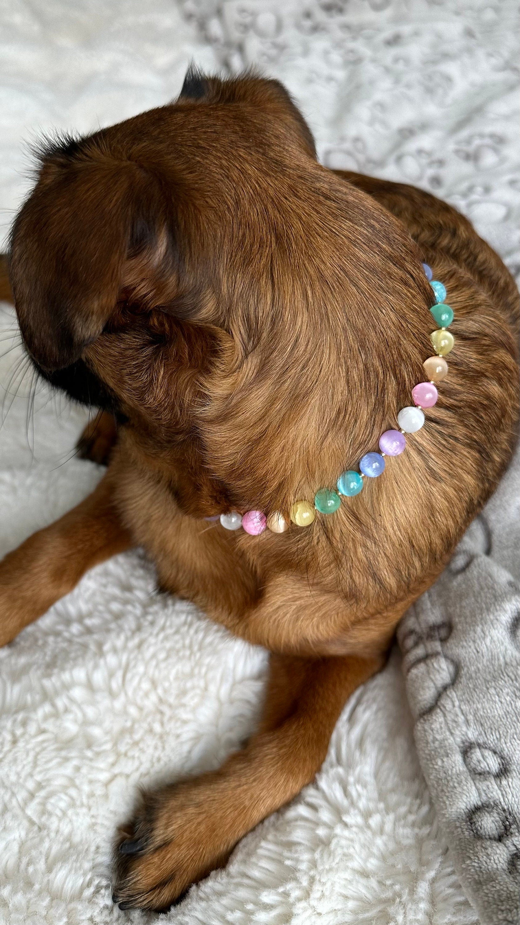 Rainbow Ice Dog Necklace