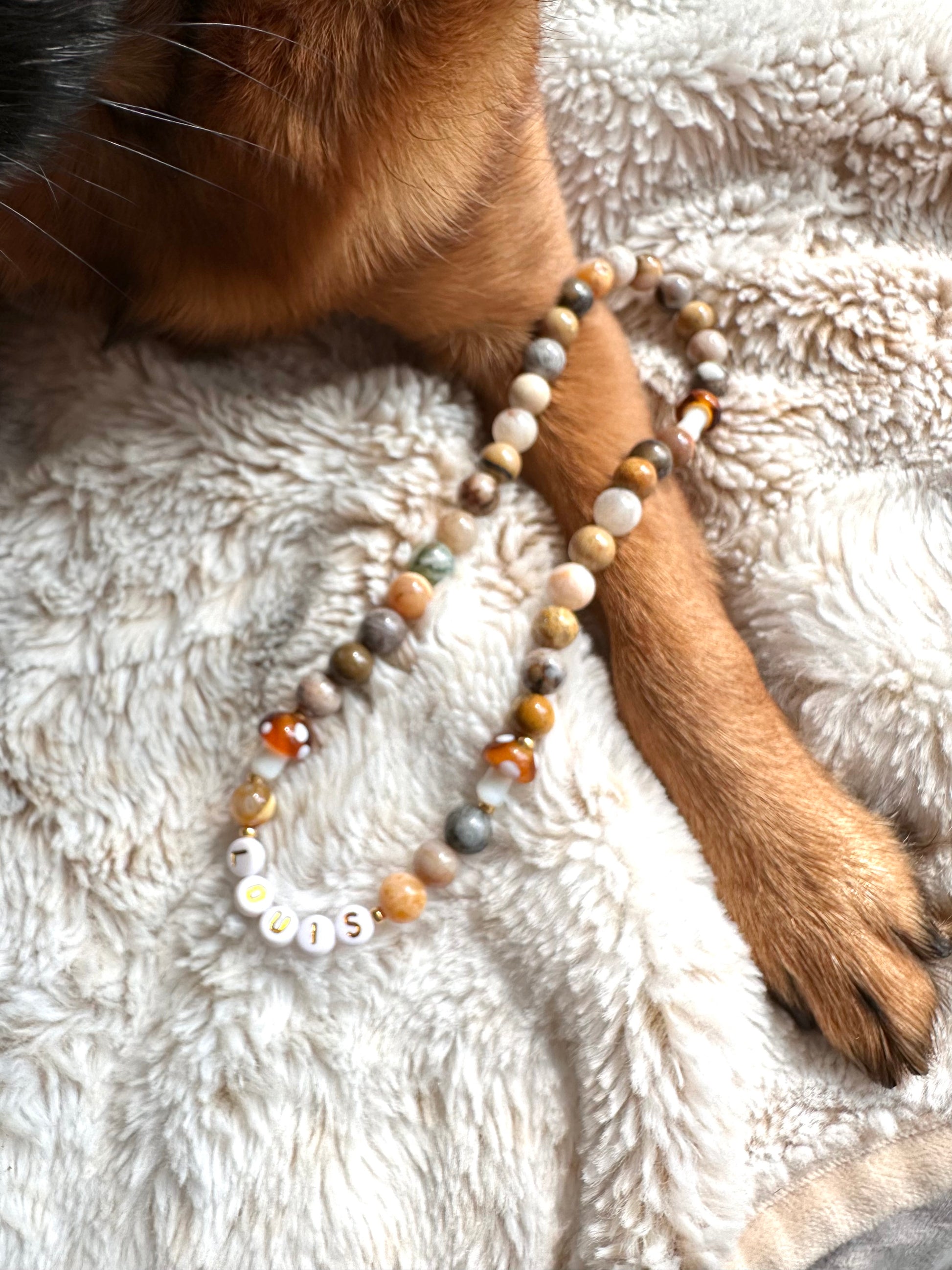 Toadstool Path Dog Necklace