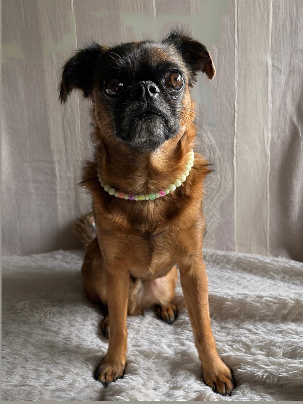 Ghost Glow Dog Necklace (Glow in the Dark)