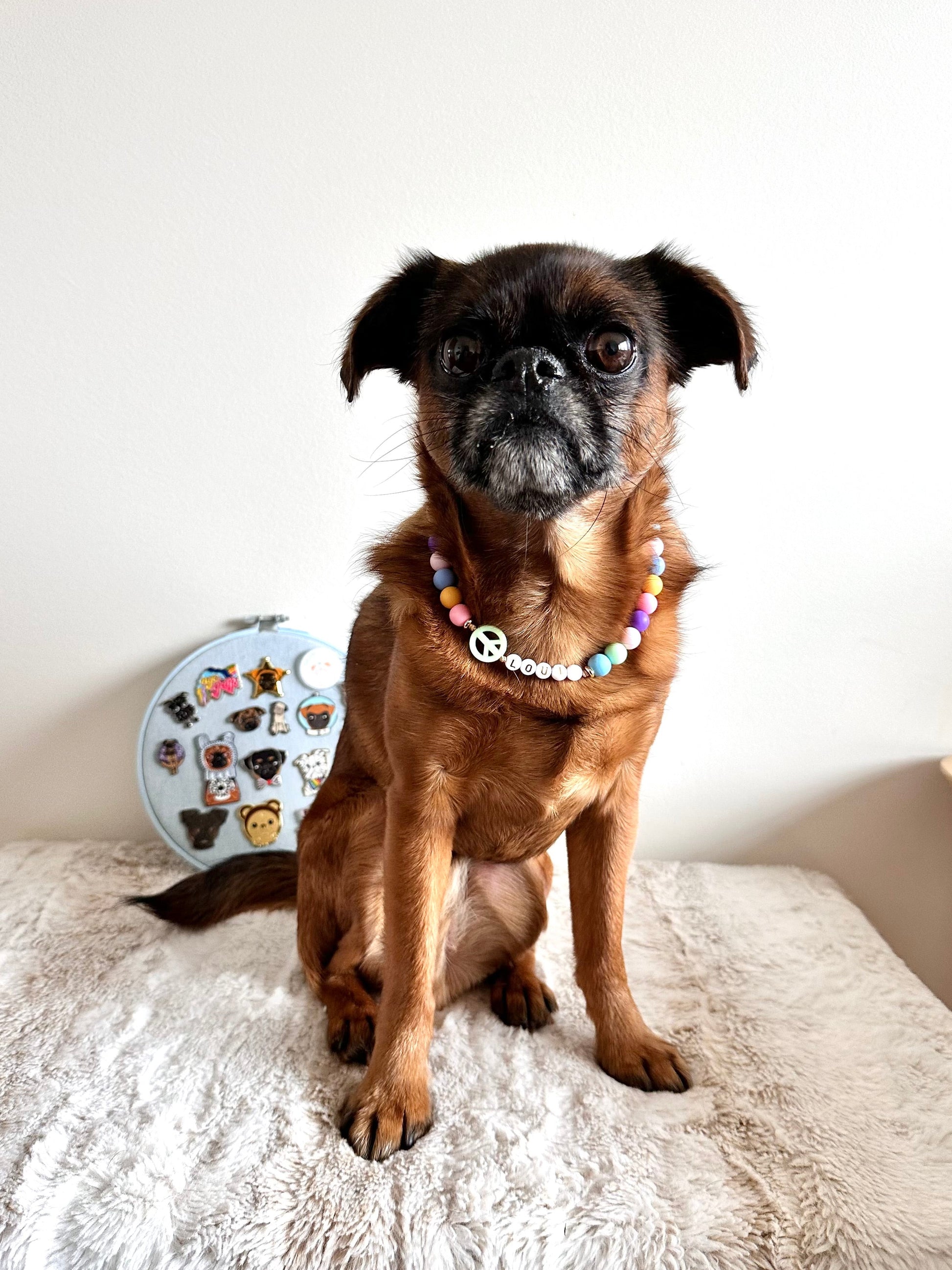 Hippy Paws Dog Necklace