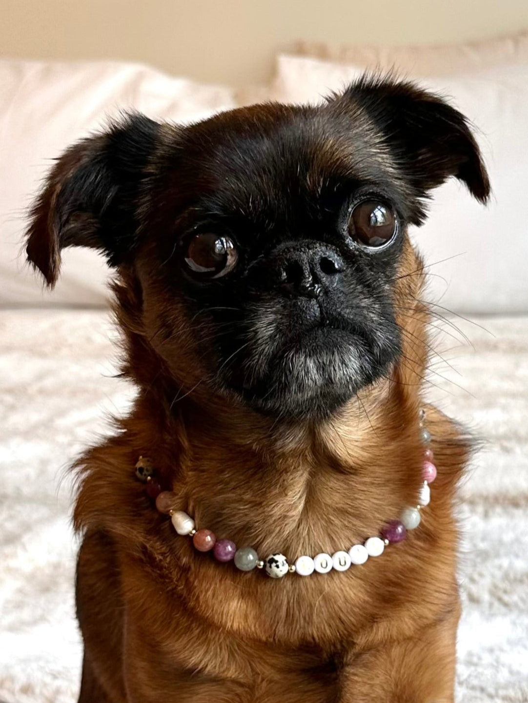 Autumn Berry Dog Necklace