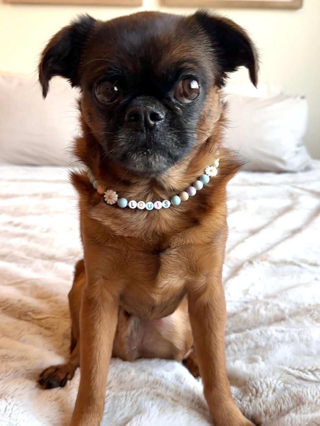 Mini Egg Spring Flowers Dog Necklace