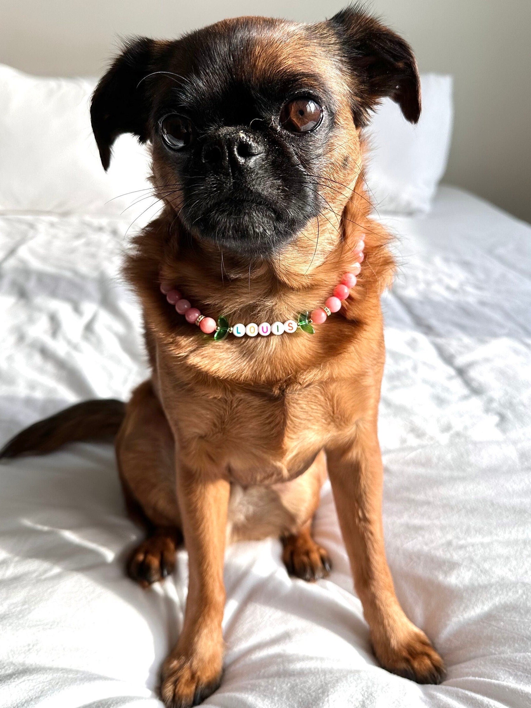 Fuzzy Peach Dog Necklace