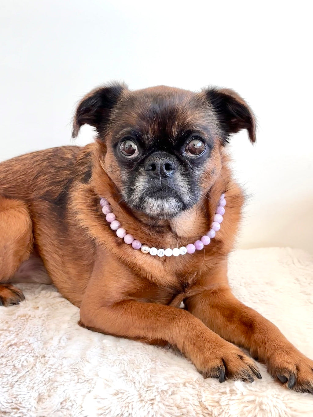 Lilac Morning Dog Necklace
