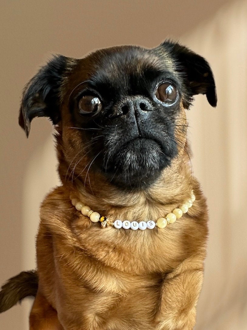 Honey Bee Dog Necklace