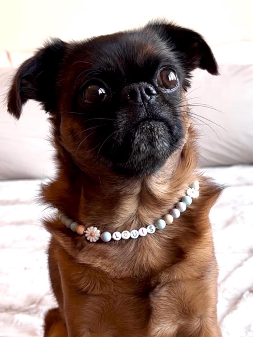 Mini Egg Spring Flowers Dog Necklace