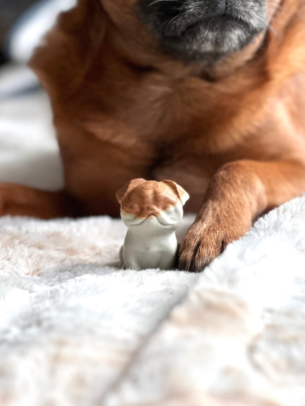 One-of-a-kind* 2 inch Alashan Brussels Griffon Statue