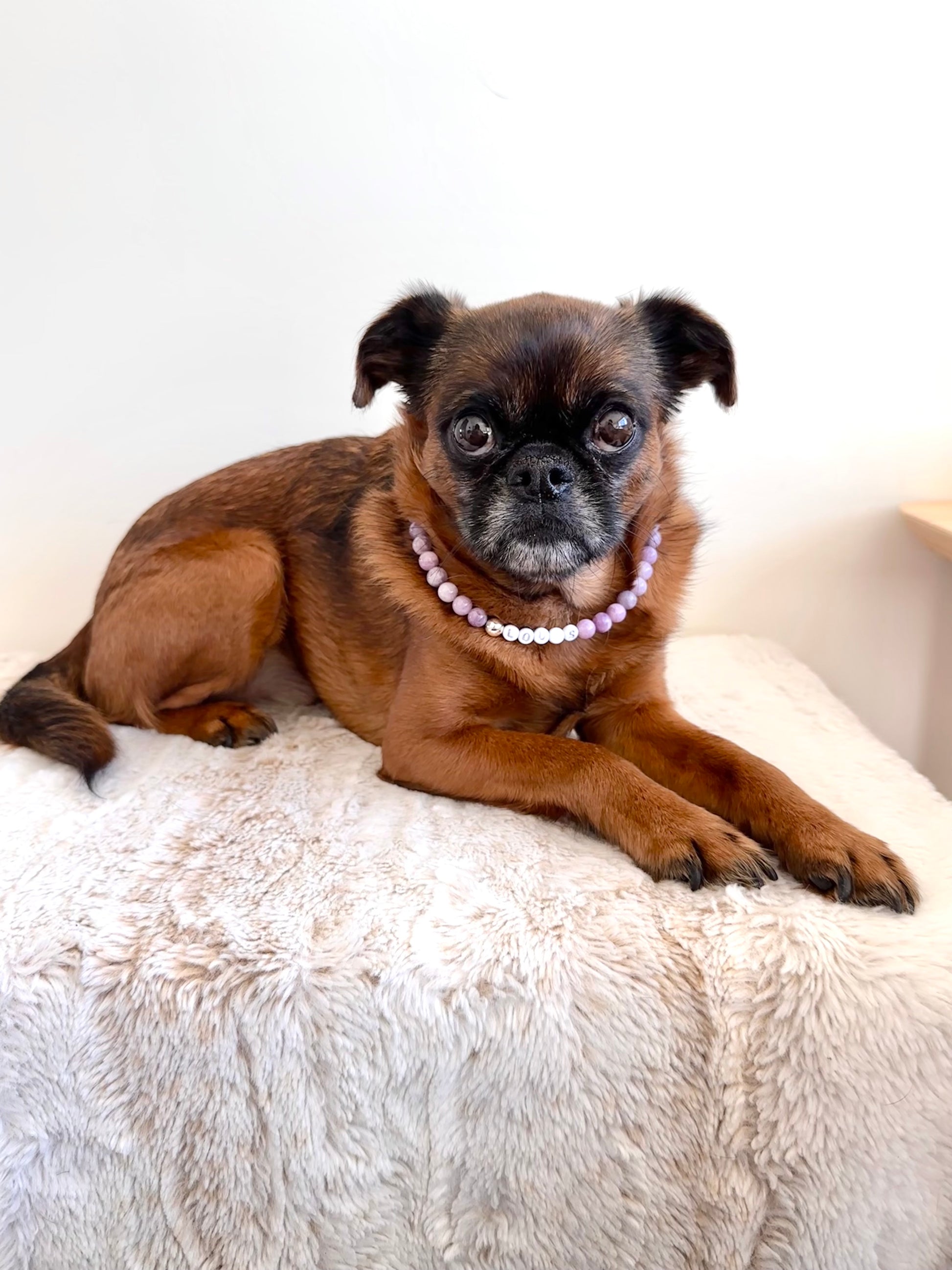 Lilac Morning Dog Necklace