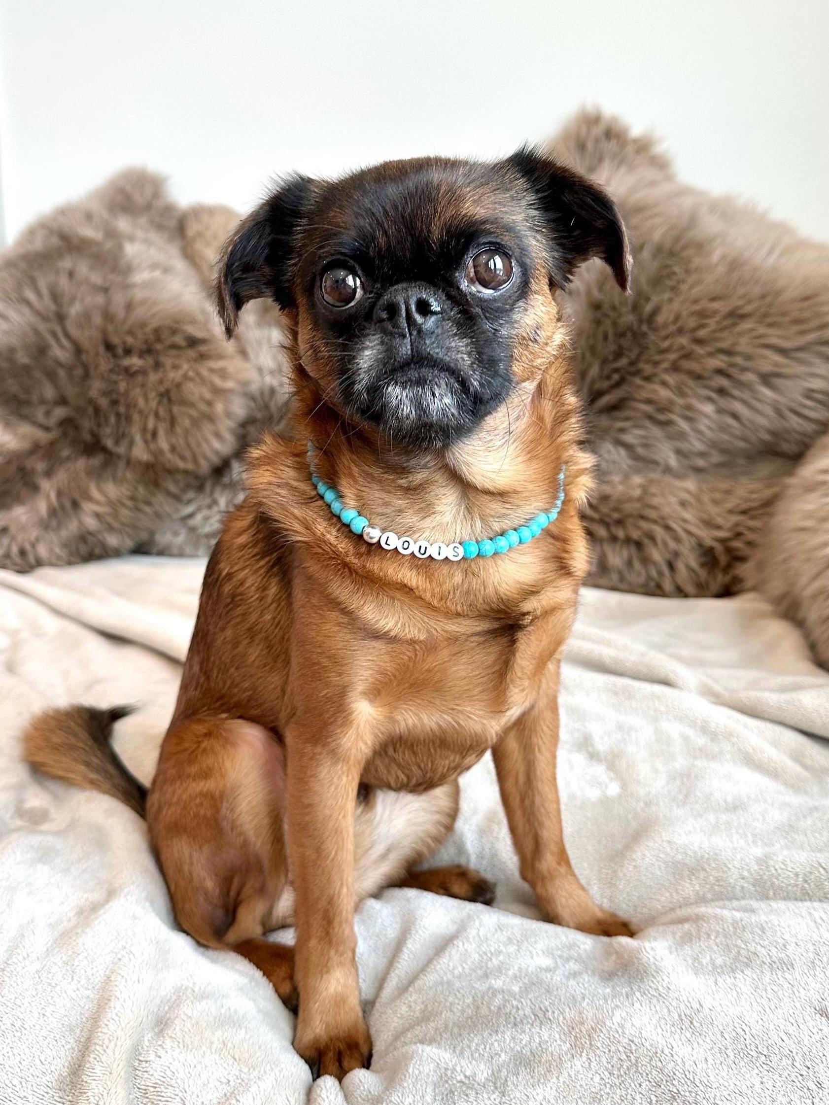 Blue Howlite Dog Necklace