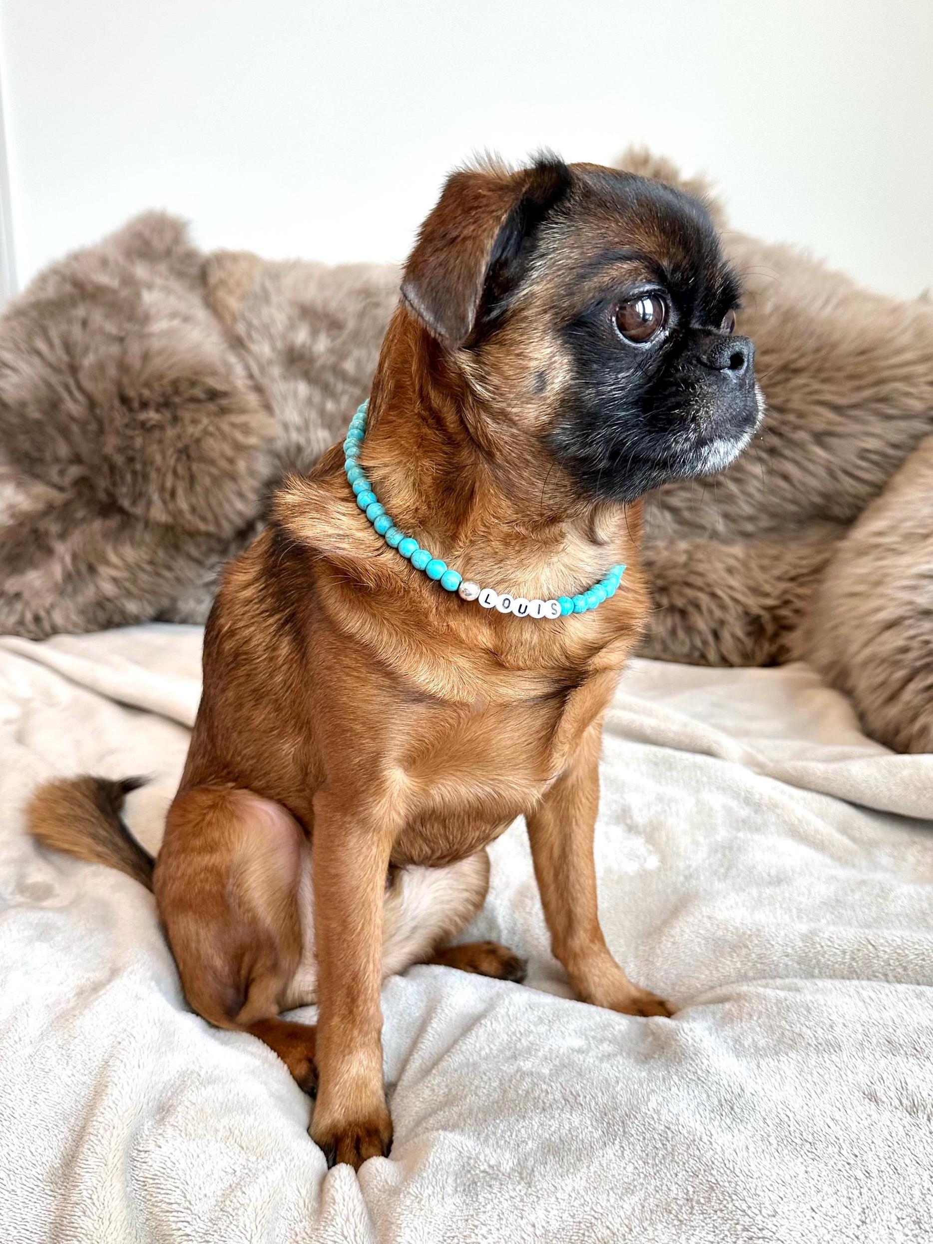 Blue Howlite Dog Necklace