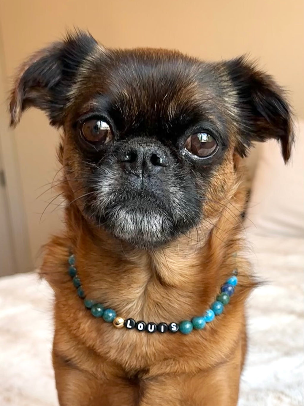 Celestial Blue Dog Necklace