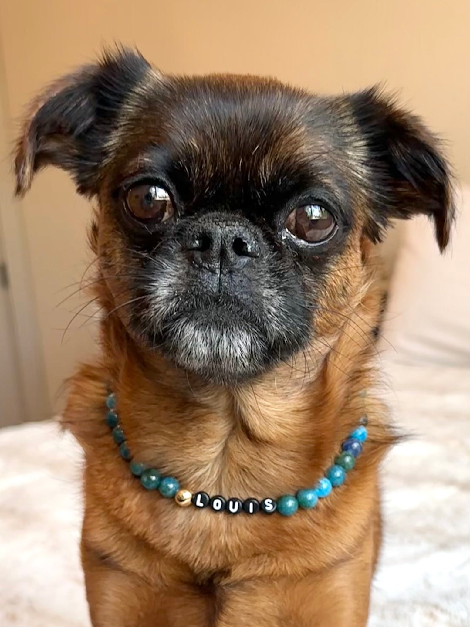 Celestial Blue Dog Necklace
