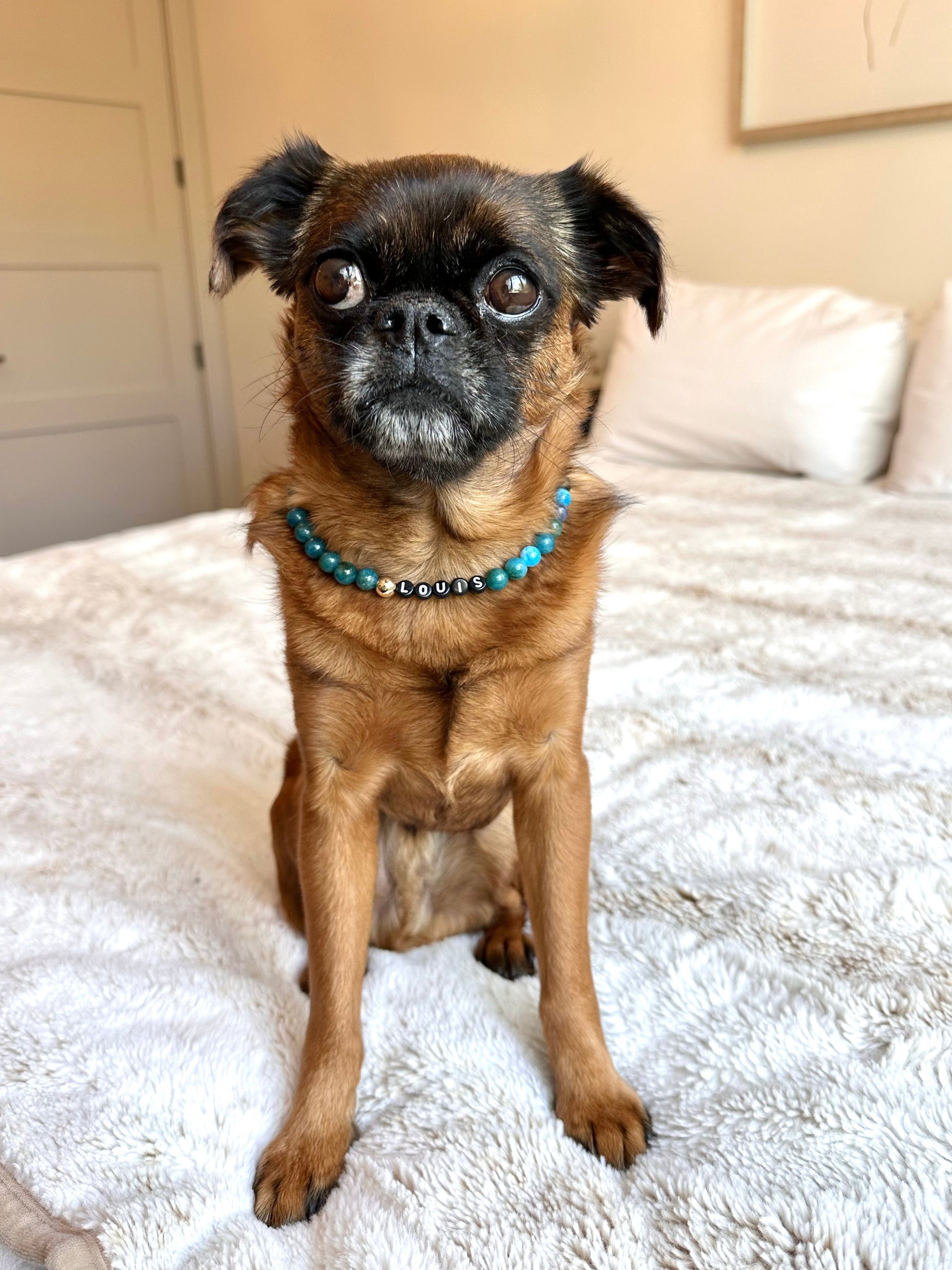 Celestial Blue Dog Necklace