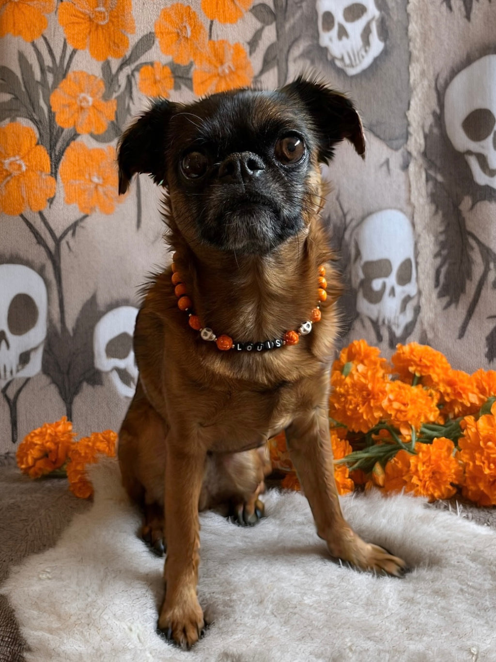 Bones and Blooms Dog Necklace