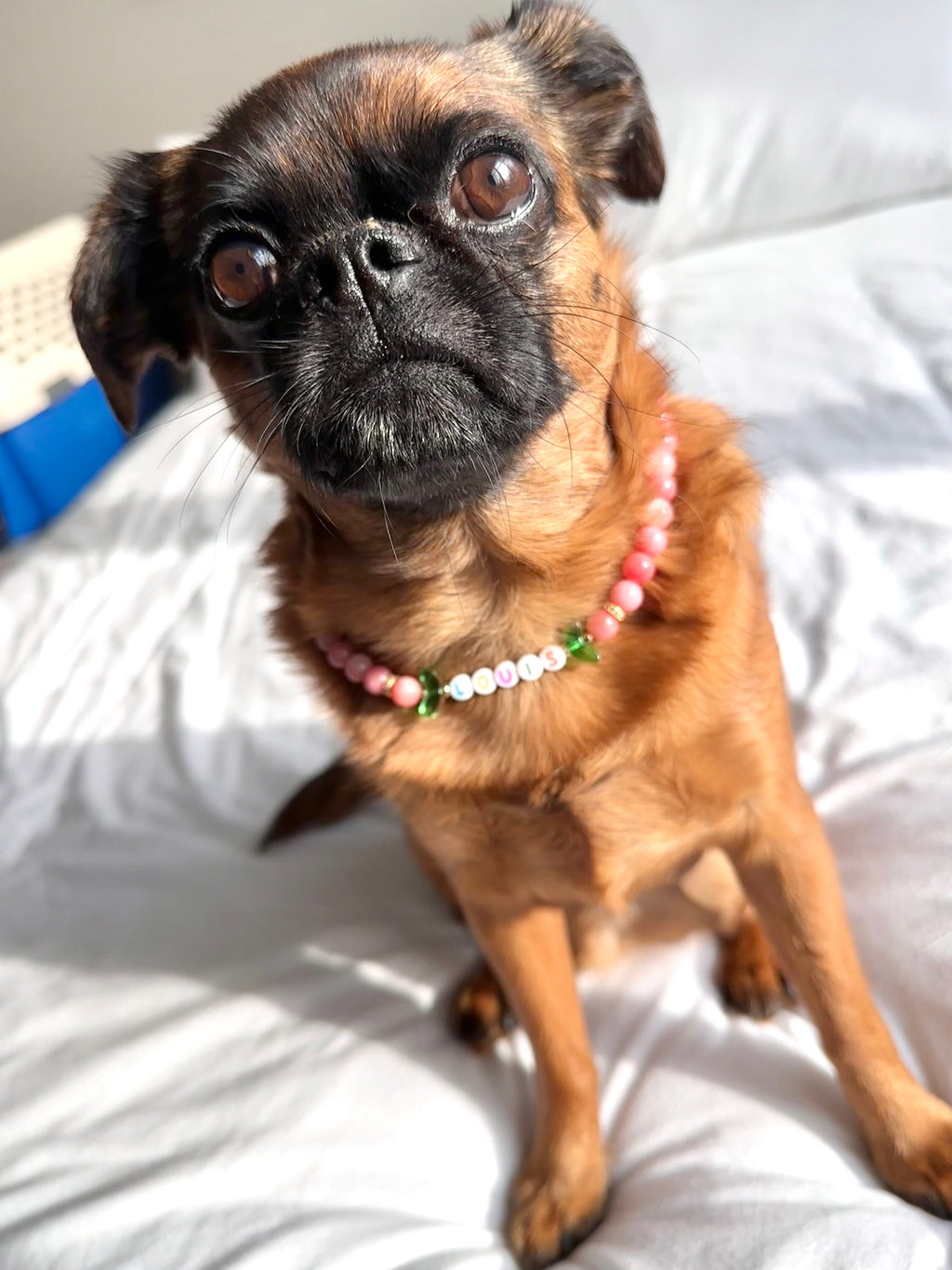 Fuzzy Peach Dog Necklace