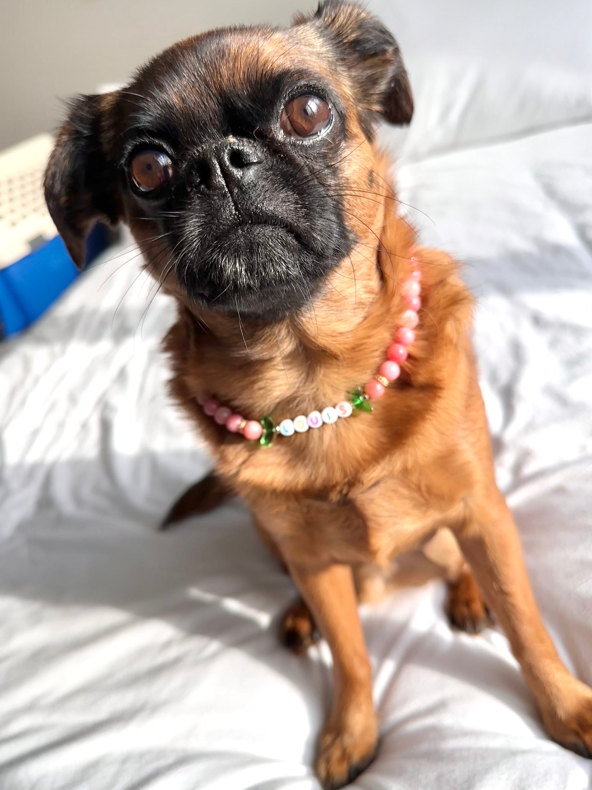 Fuzzy Peach Dog Necklace