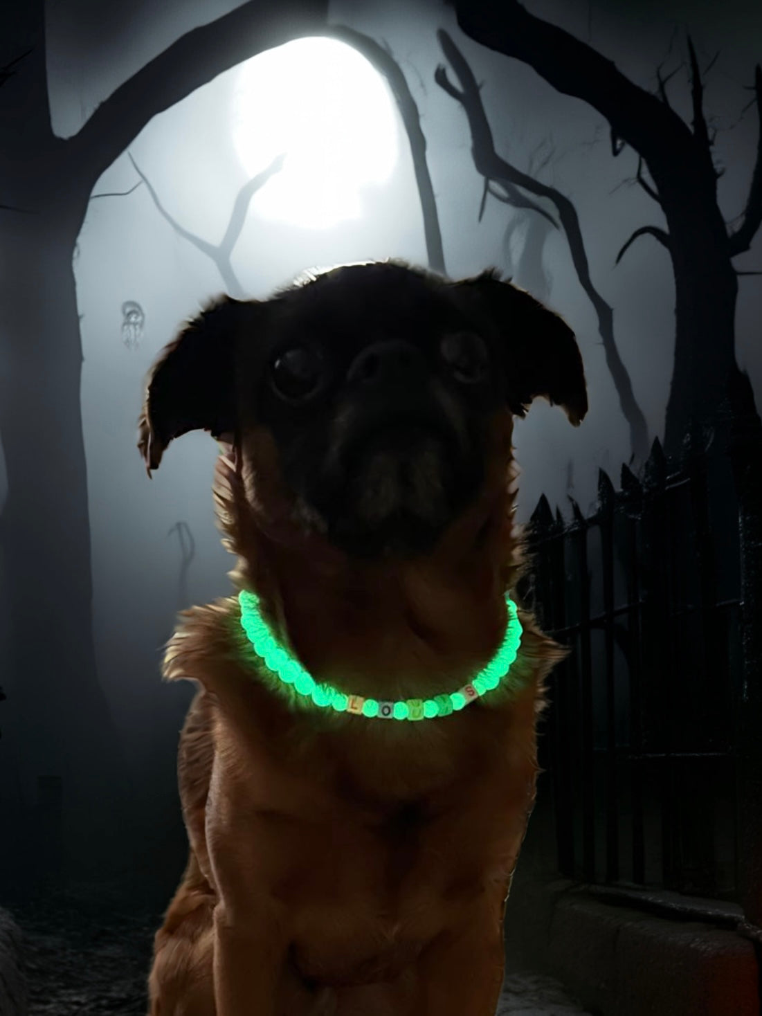 Ghost Glow Dog Necklace (Glow in the Dark)