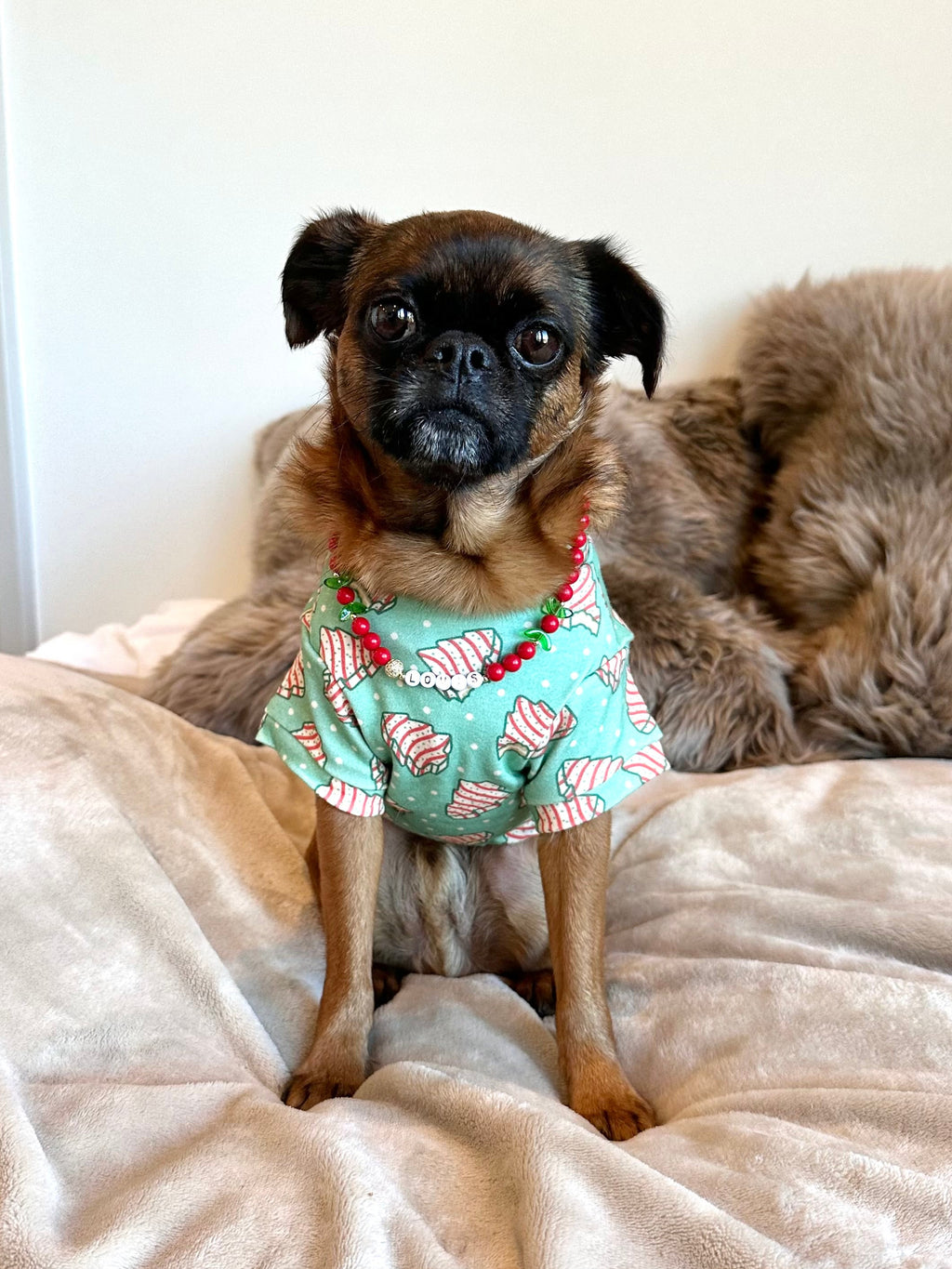 Holly Jolly Dog Necklace