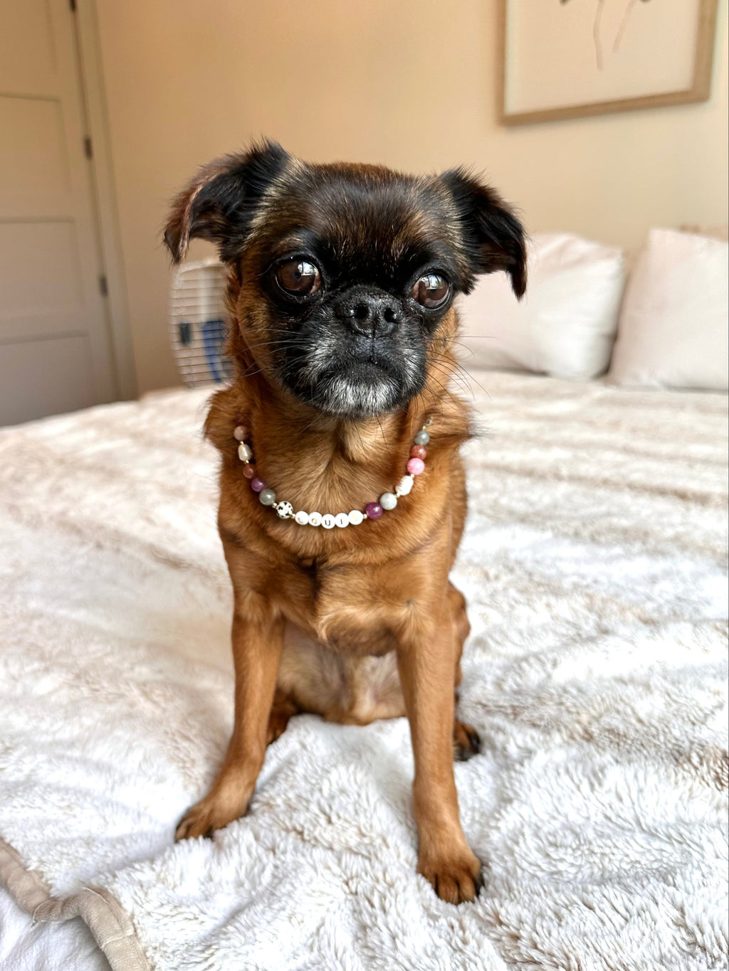 Autumn Berry Dog Necklace