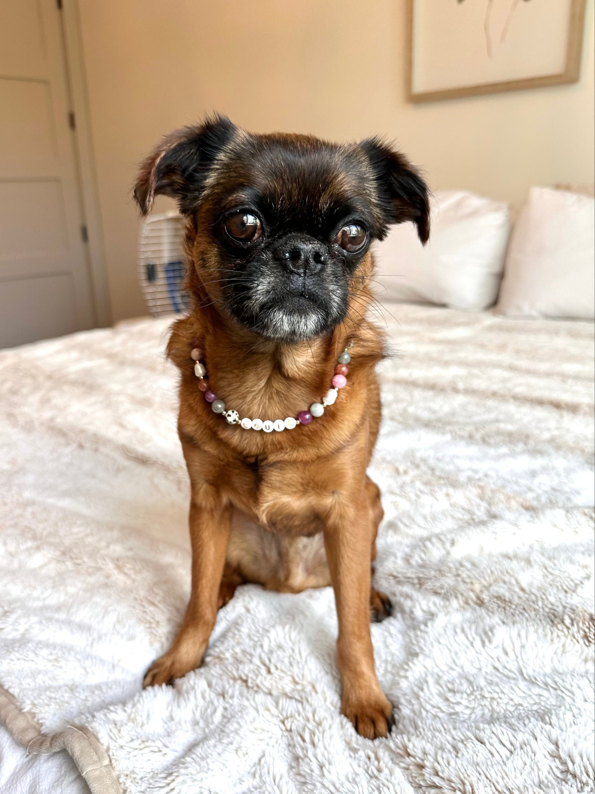 Autumn Berry Dog Necklace