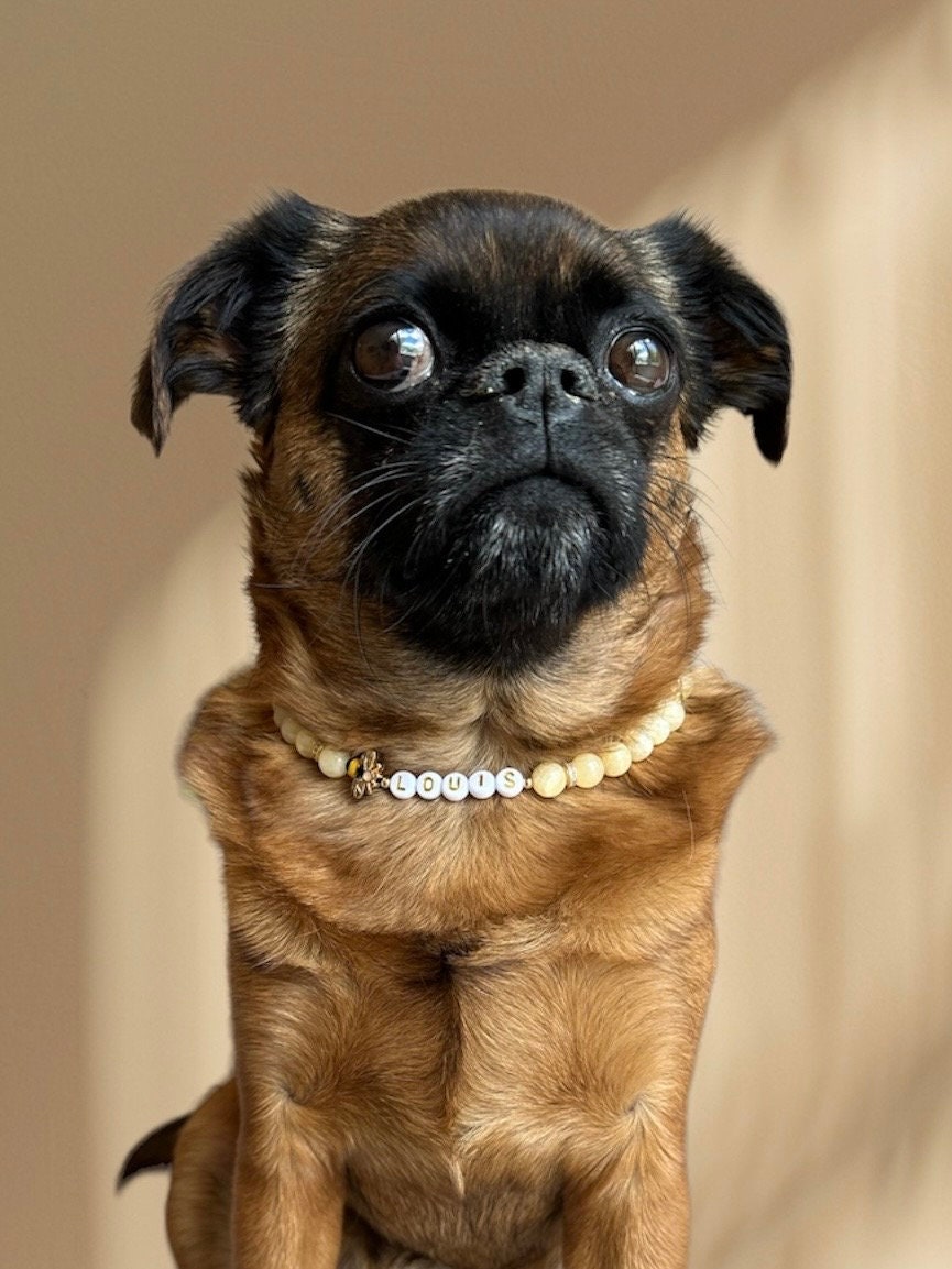 Honey Bee Dog Necklace