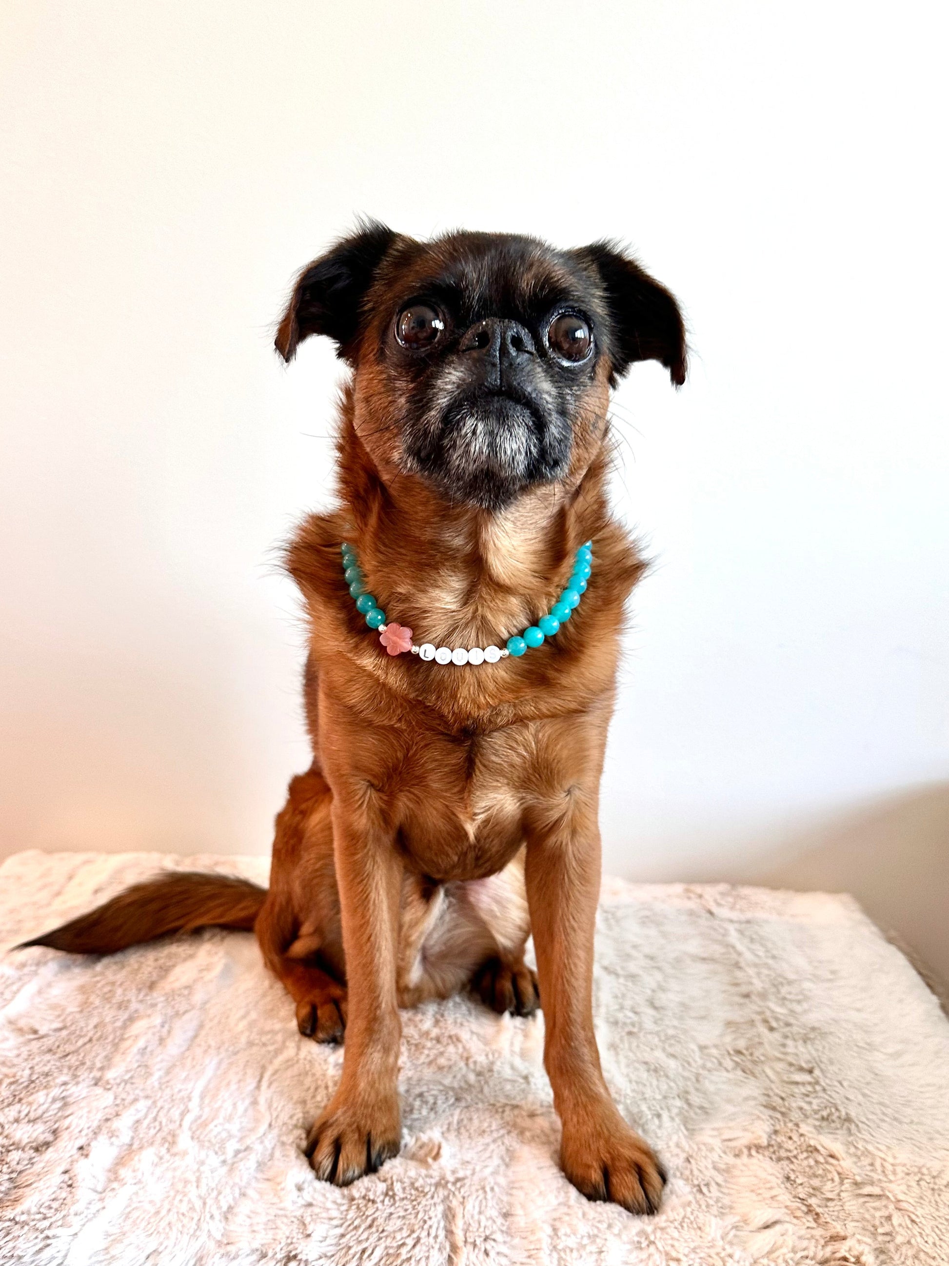 Azure Tide Dog Necklace