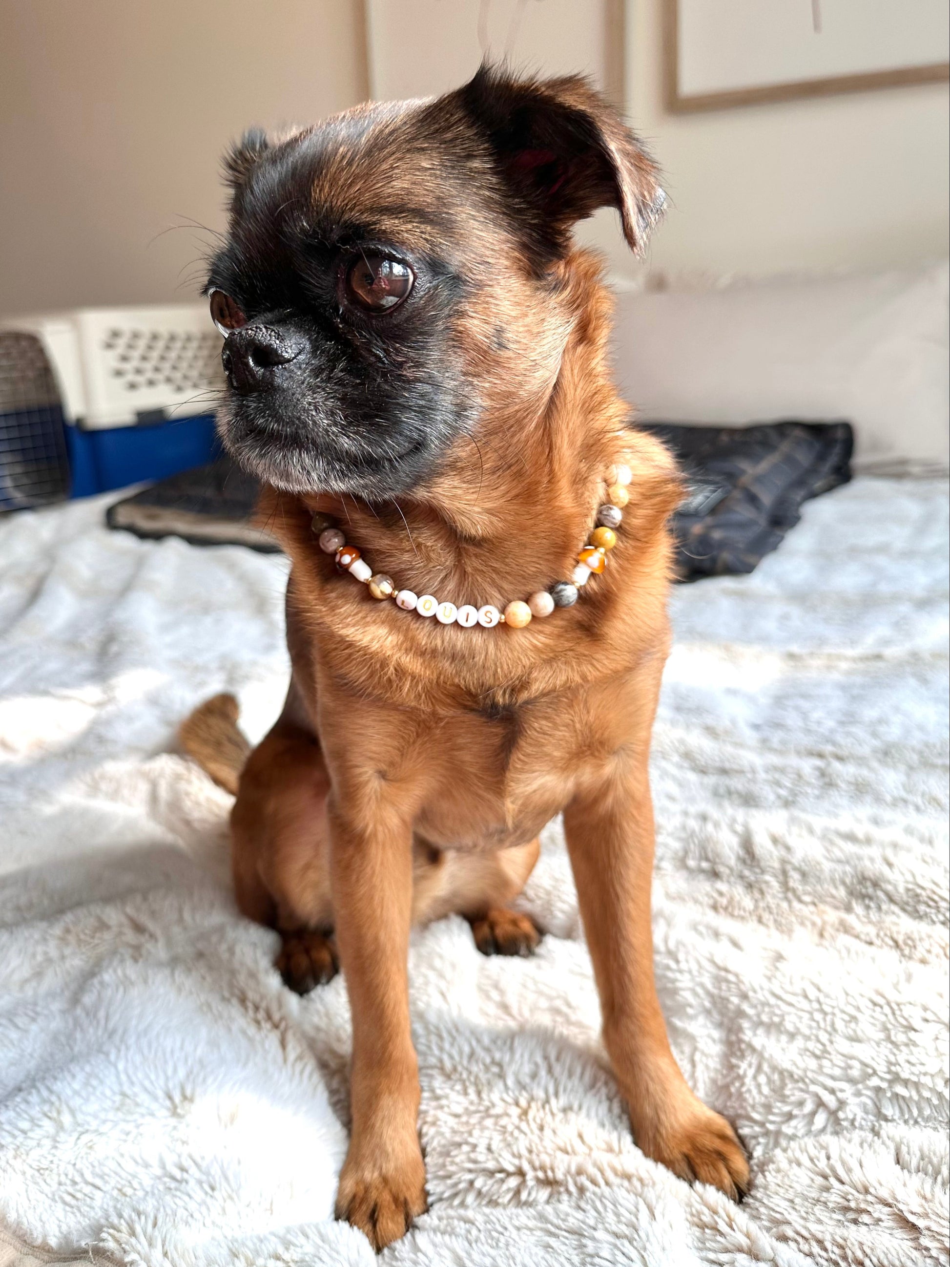 Toadstool Path Dog Necklace