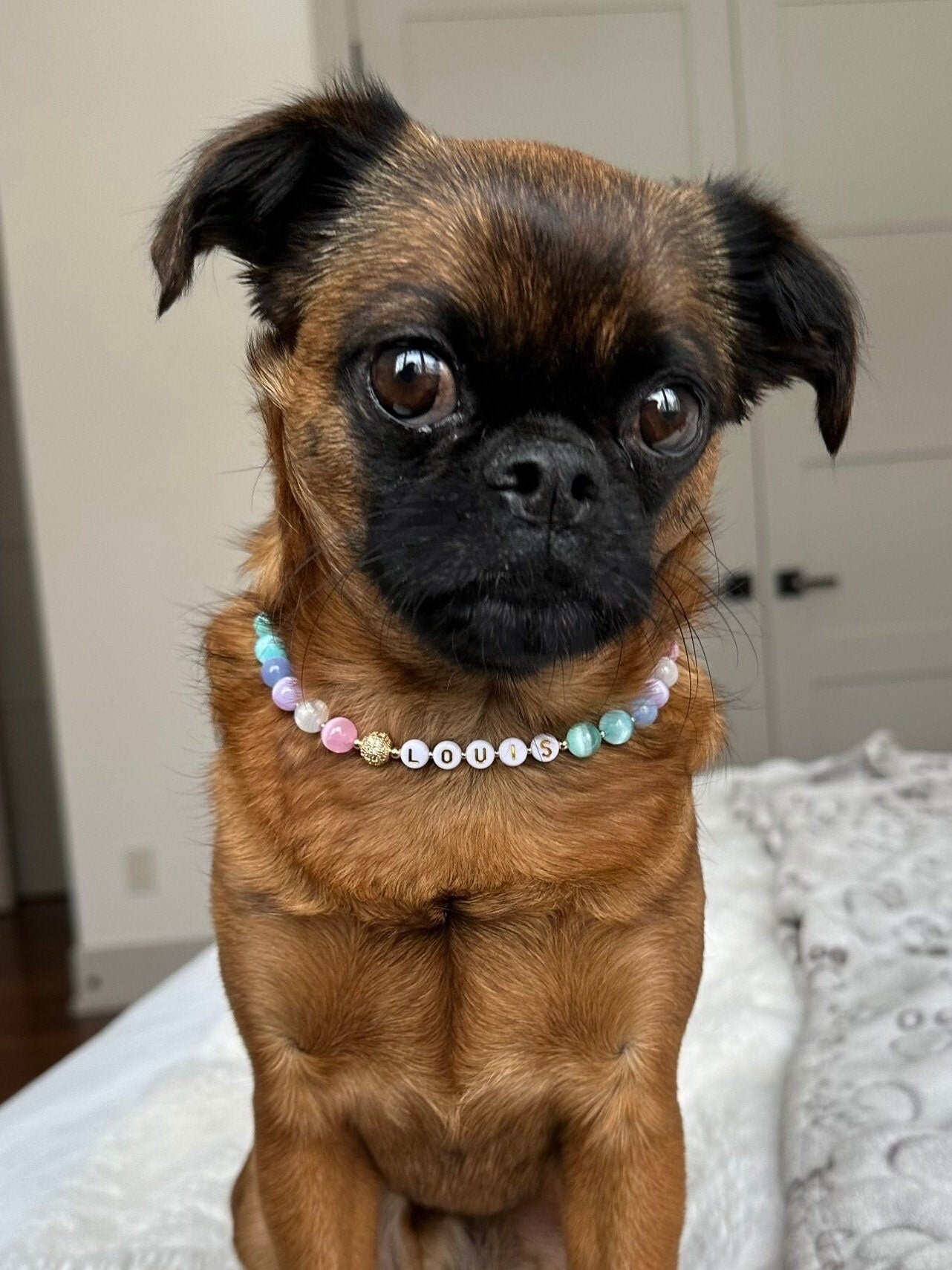 Rainbow Ice Dog Necklace