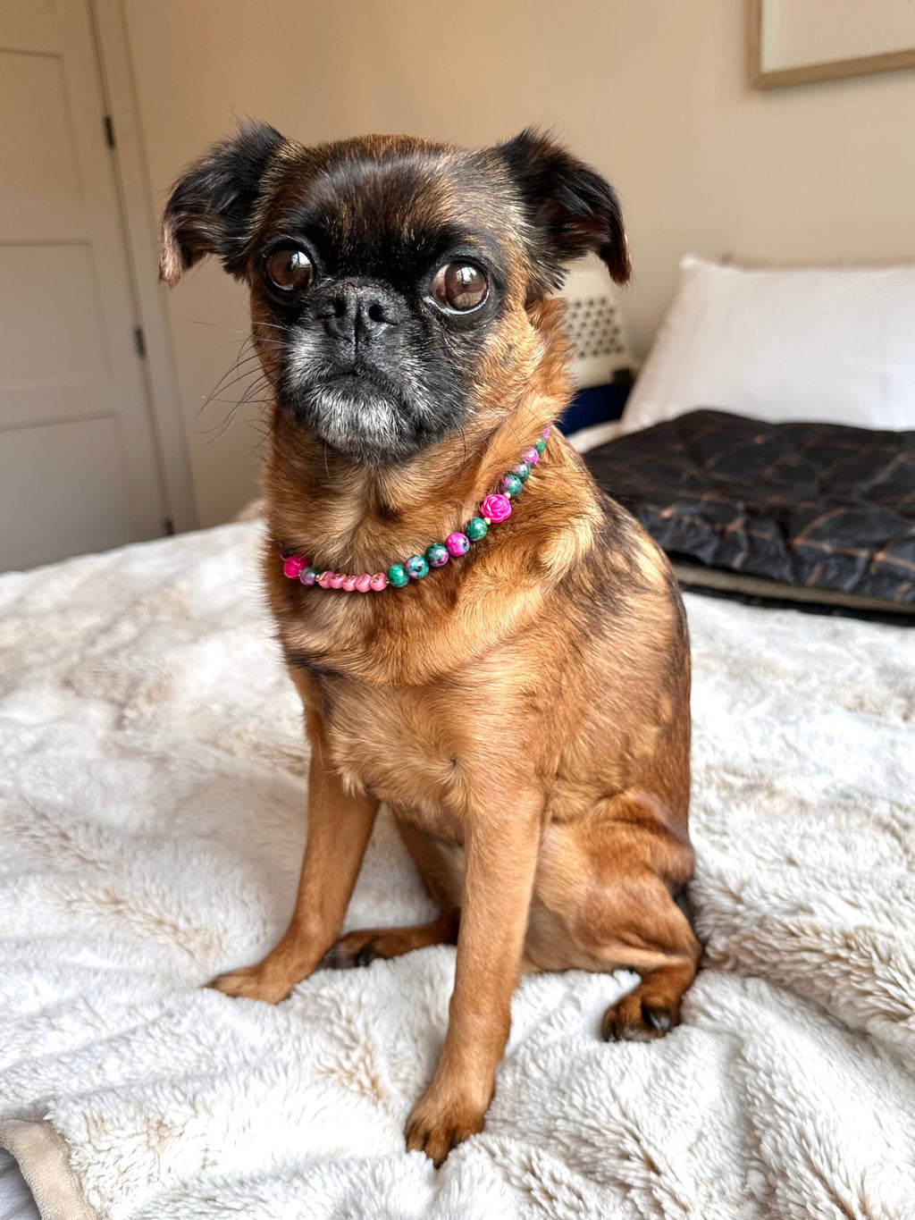 Forest Bloom Dog Necklace
