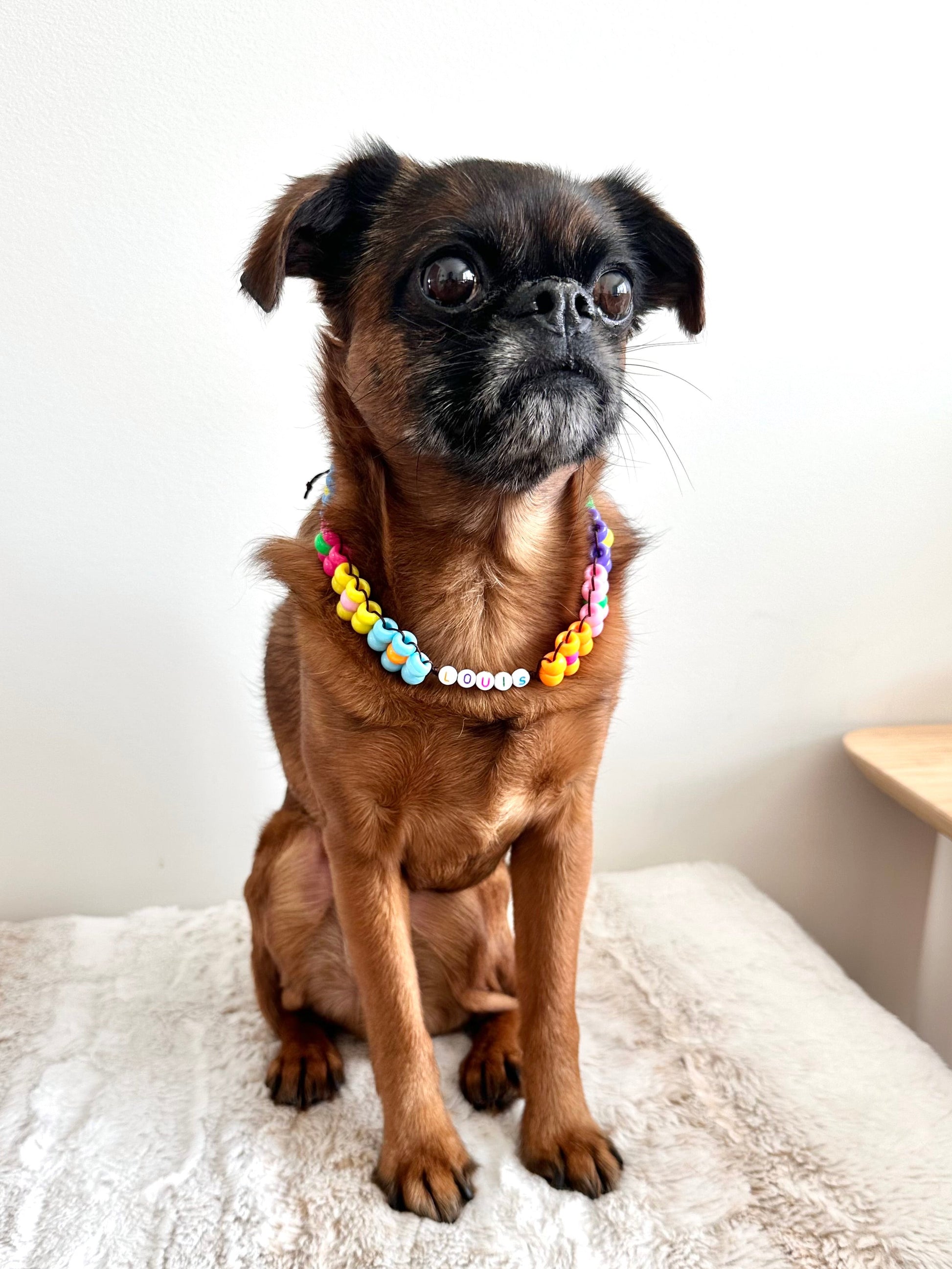 Flower Power Dog Necklace