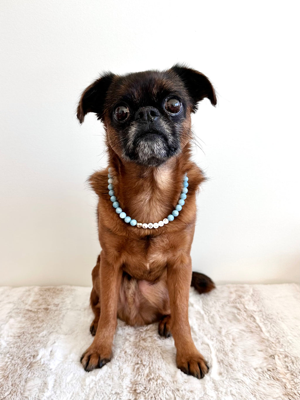 Blue Skies Dog Necklace