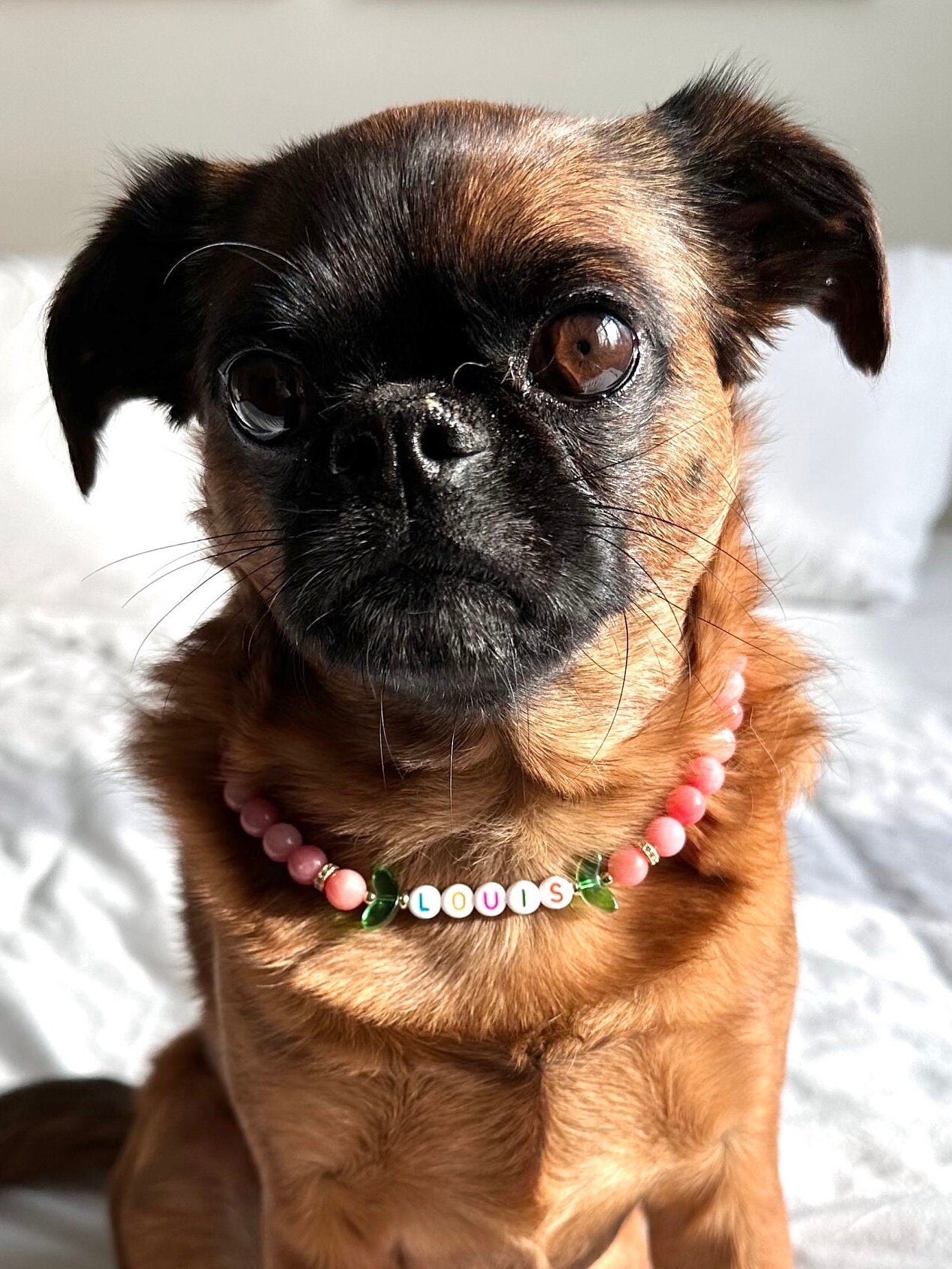 Fuzzy Peach Dog Necklace