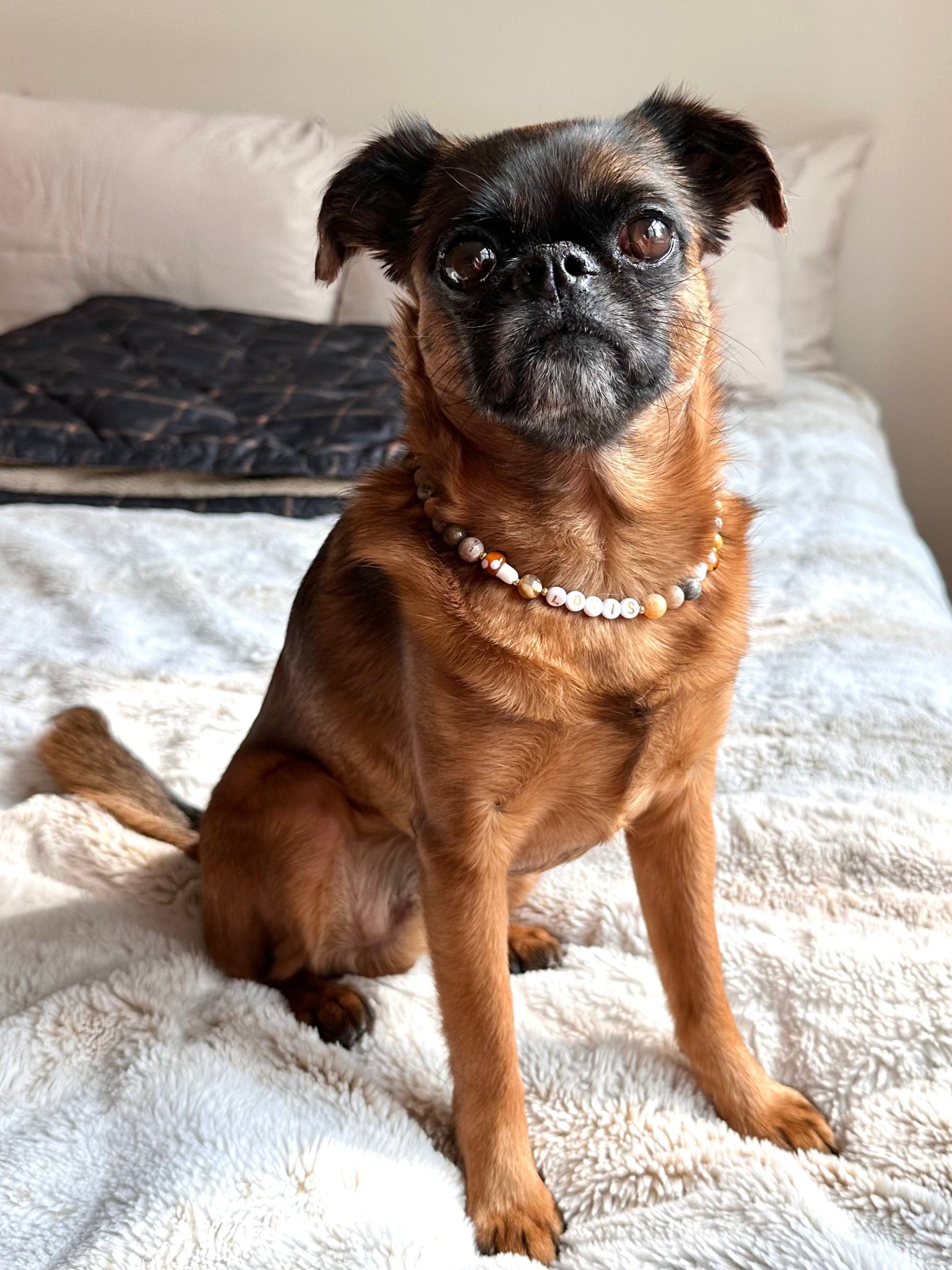 Toadstool Path Dog Necklace