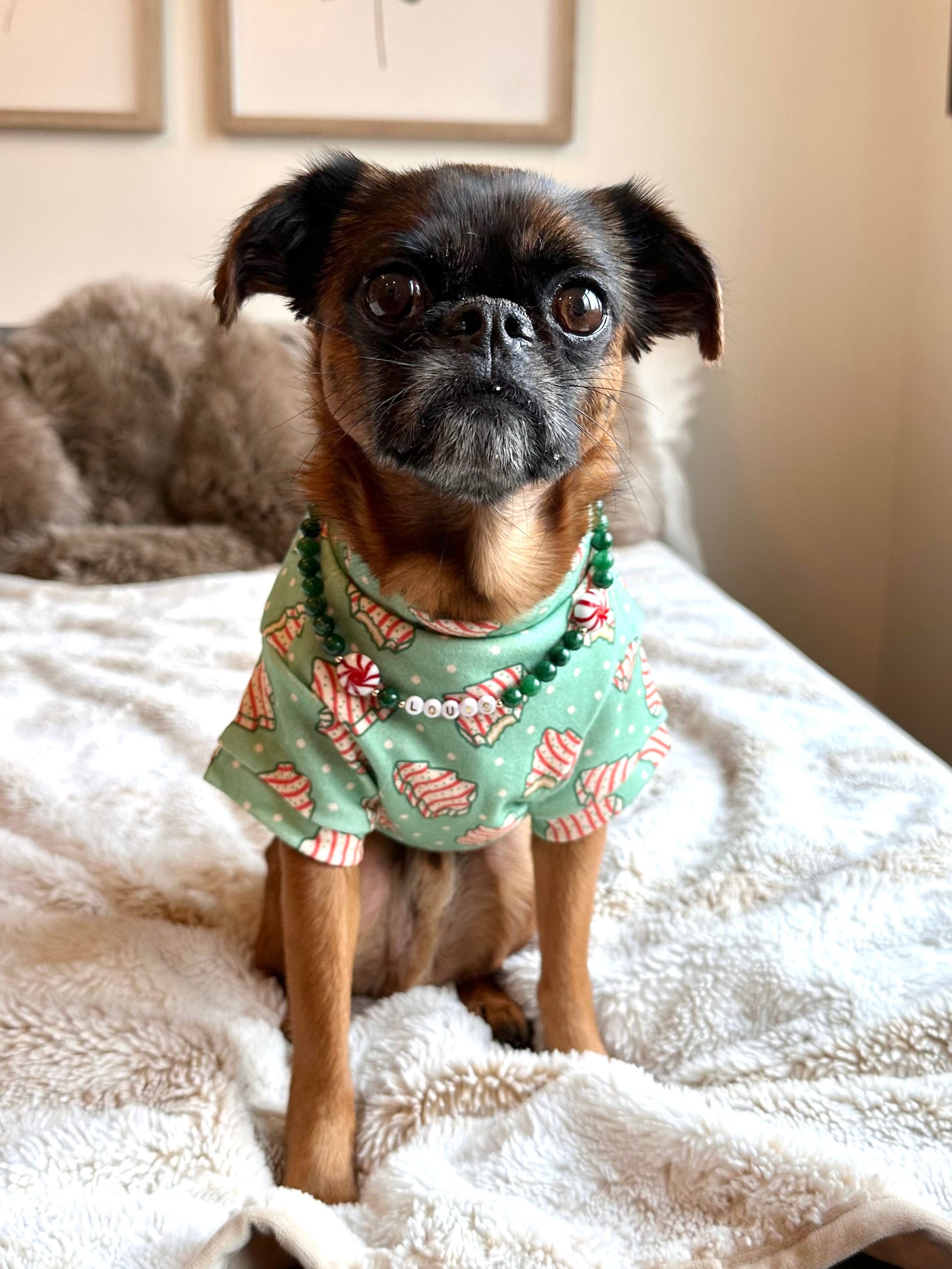 Peppermint Paws Dog Necklace