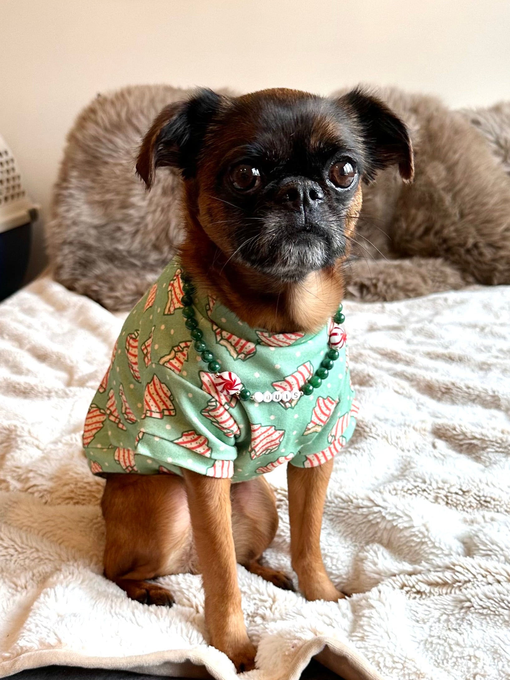 Peppermint Paws Dog Necklace