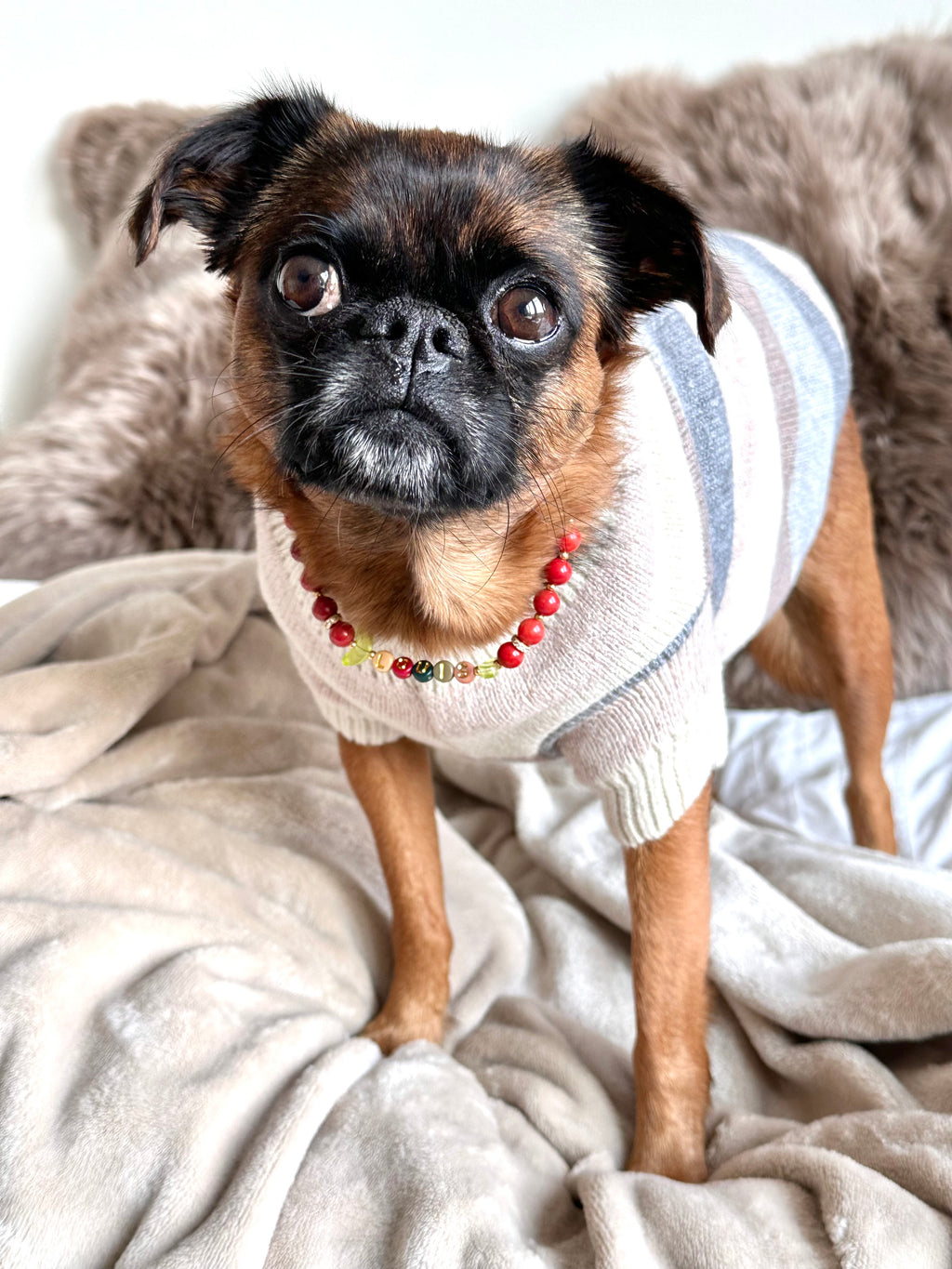 Spiced Apple Dog Necklace