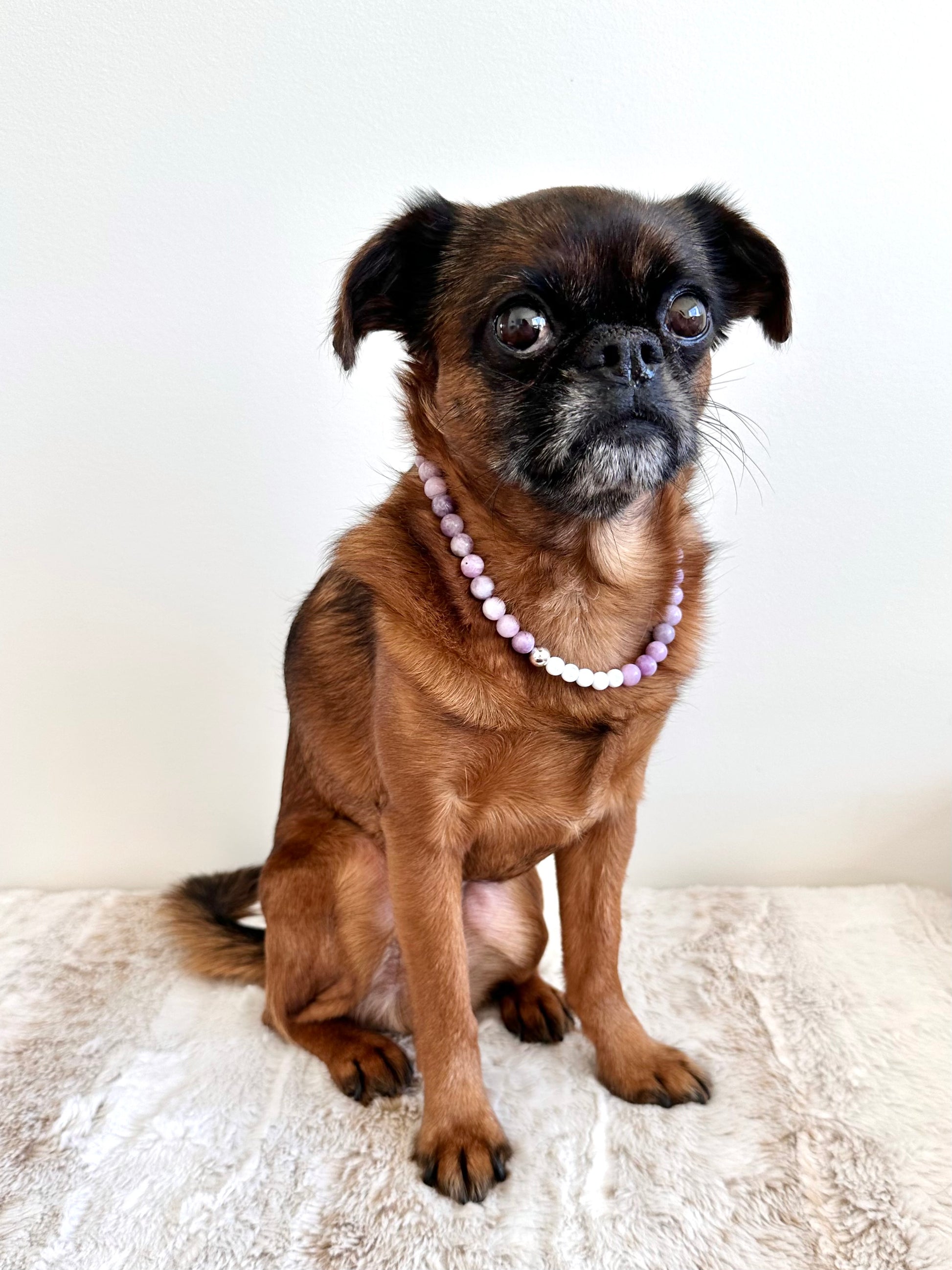 Lilac Morning Dog Necklace