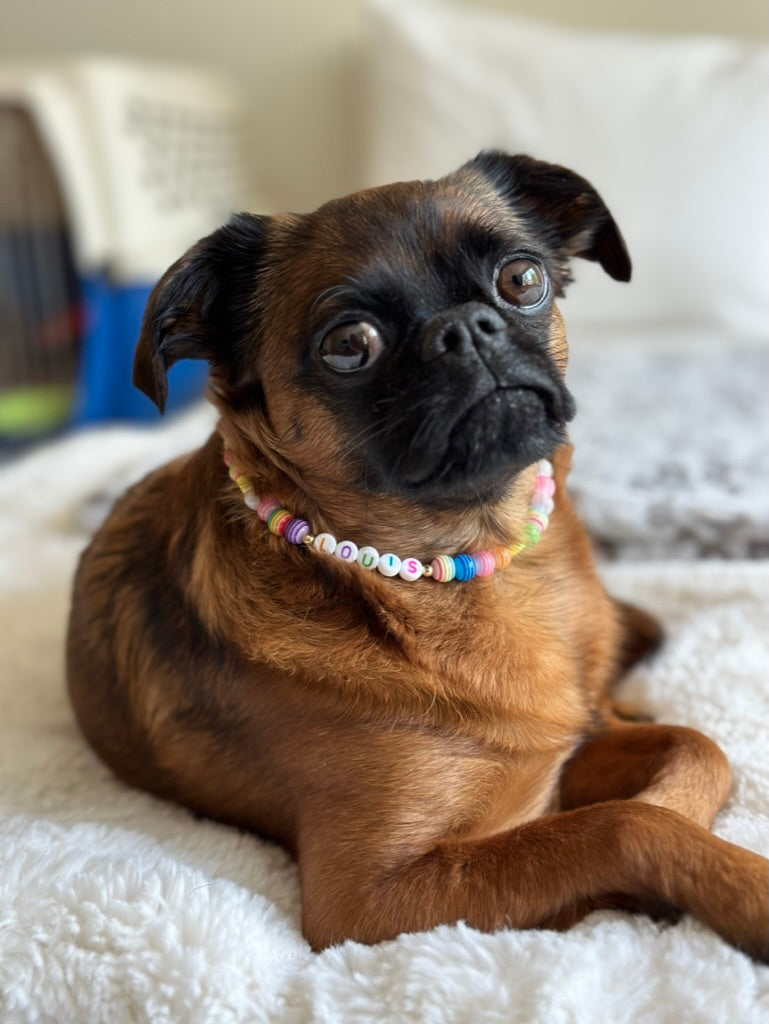 Rainbow Dog Necklace