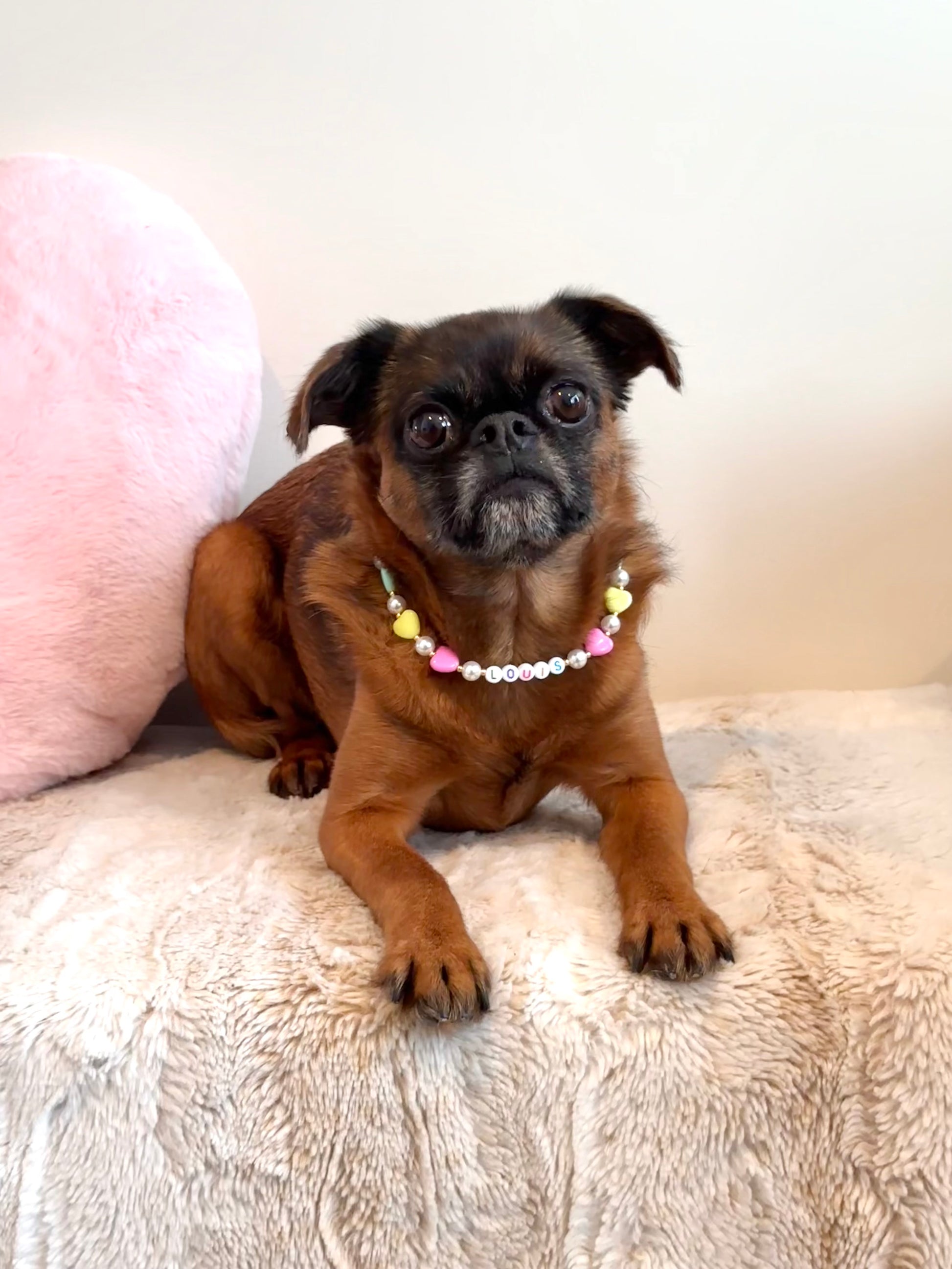 Forever Yours Dog Necklace