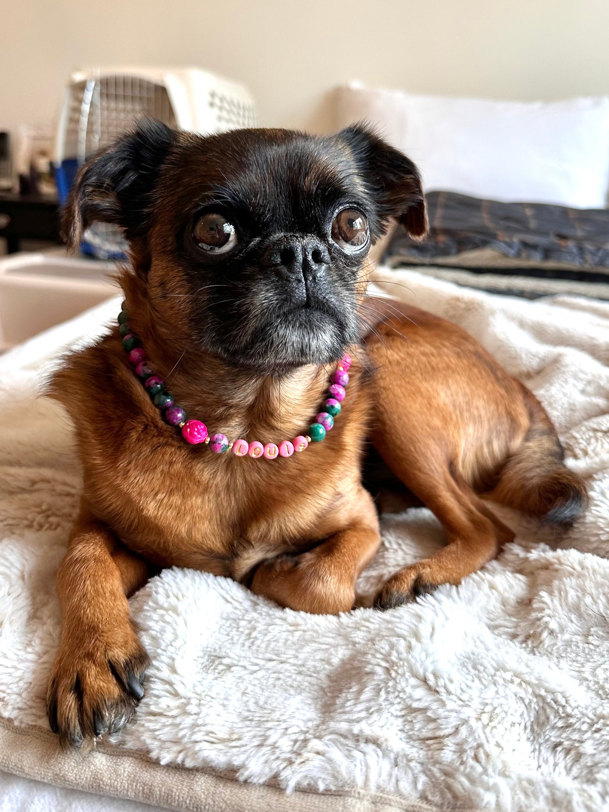 Forest Bloom Dog Necklace