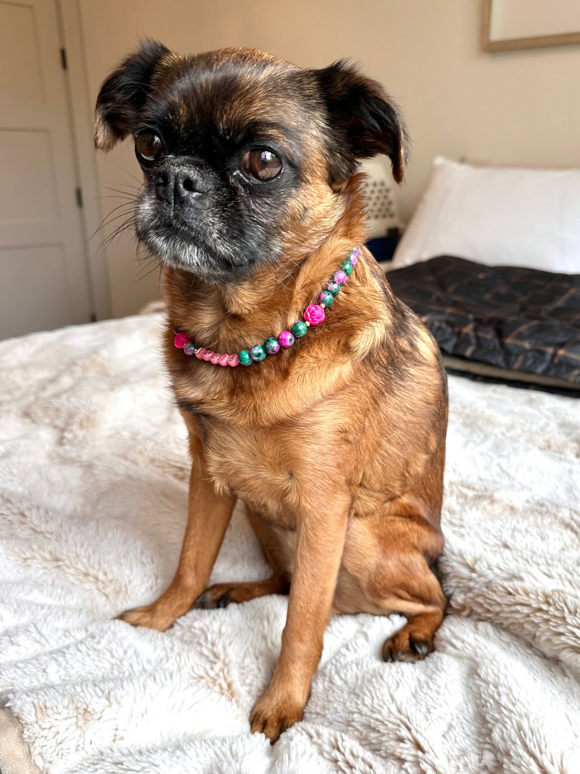 Forest Bloom Dog Necklace