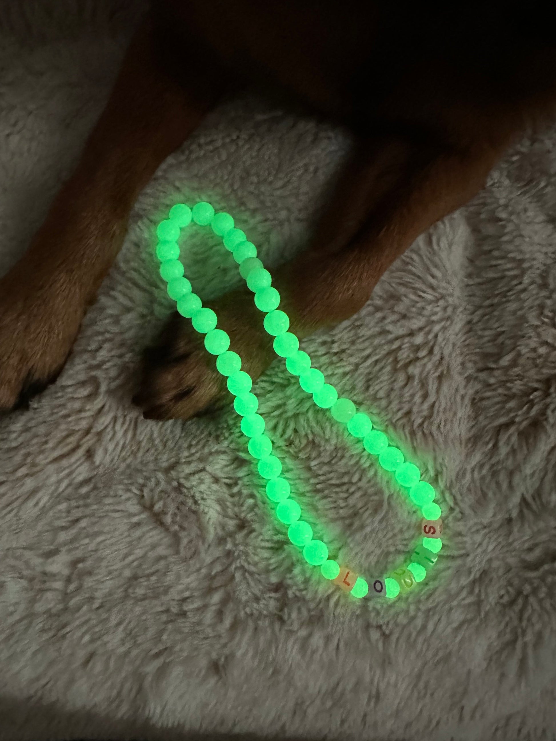 Ghost Glow Dog Necklace (Glow in the Dark)