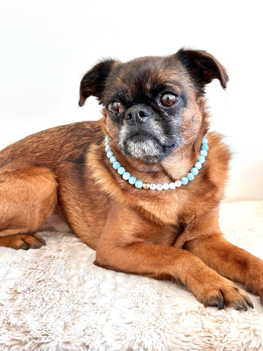Blue Skies Dog Necklace